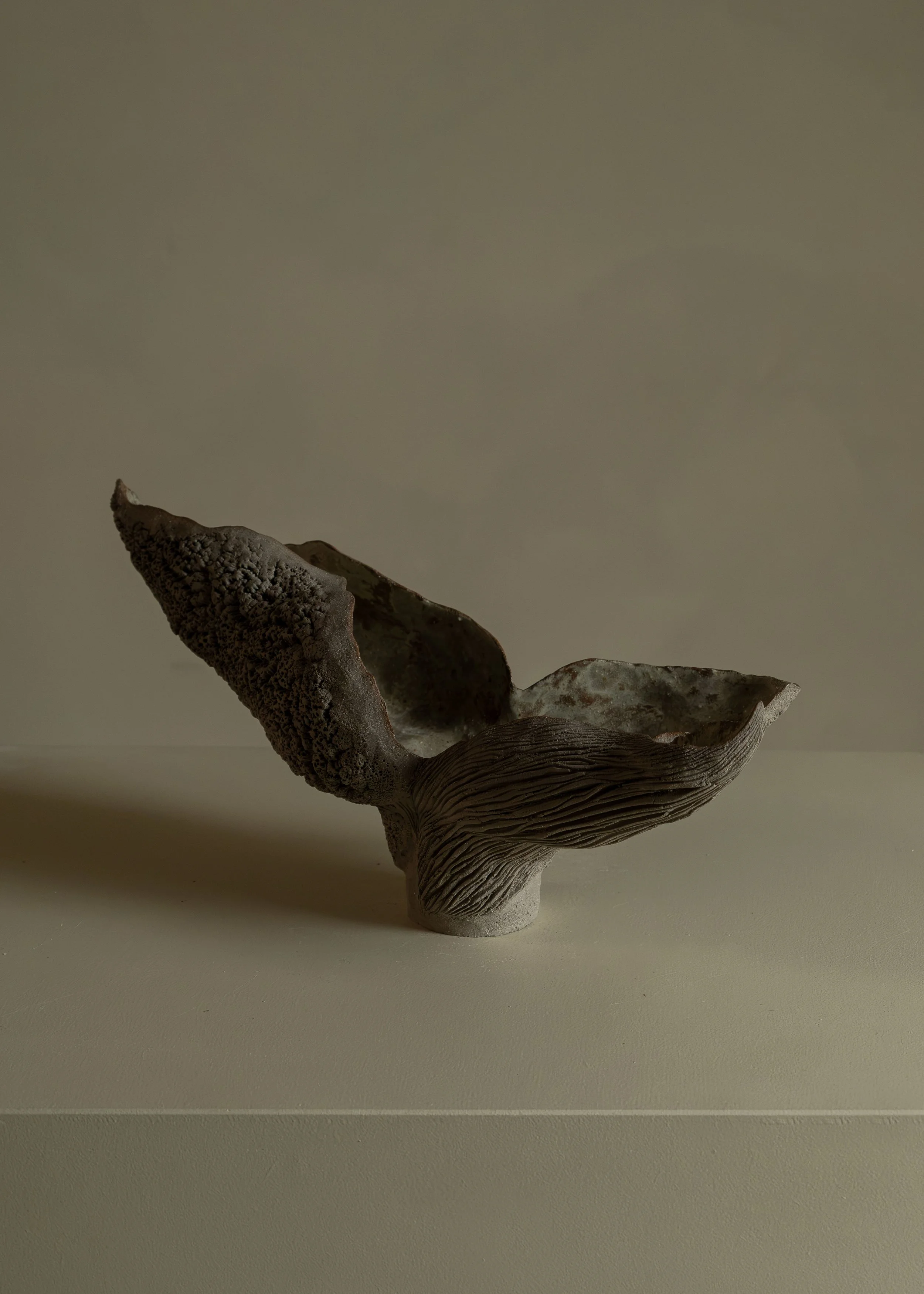 DSCF9867.jpg