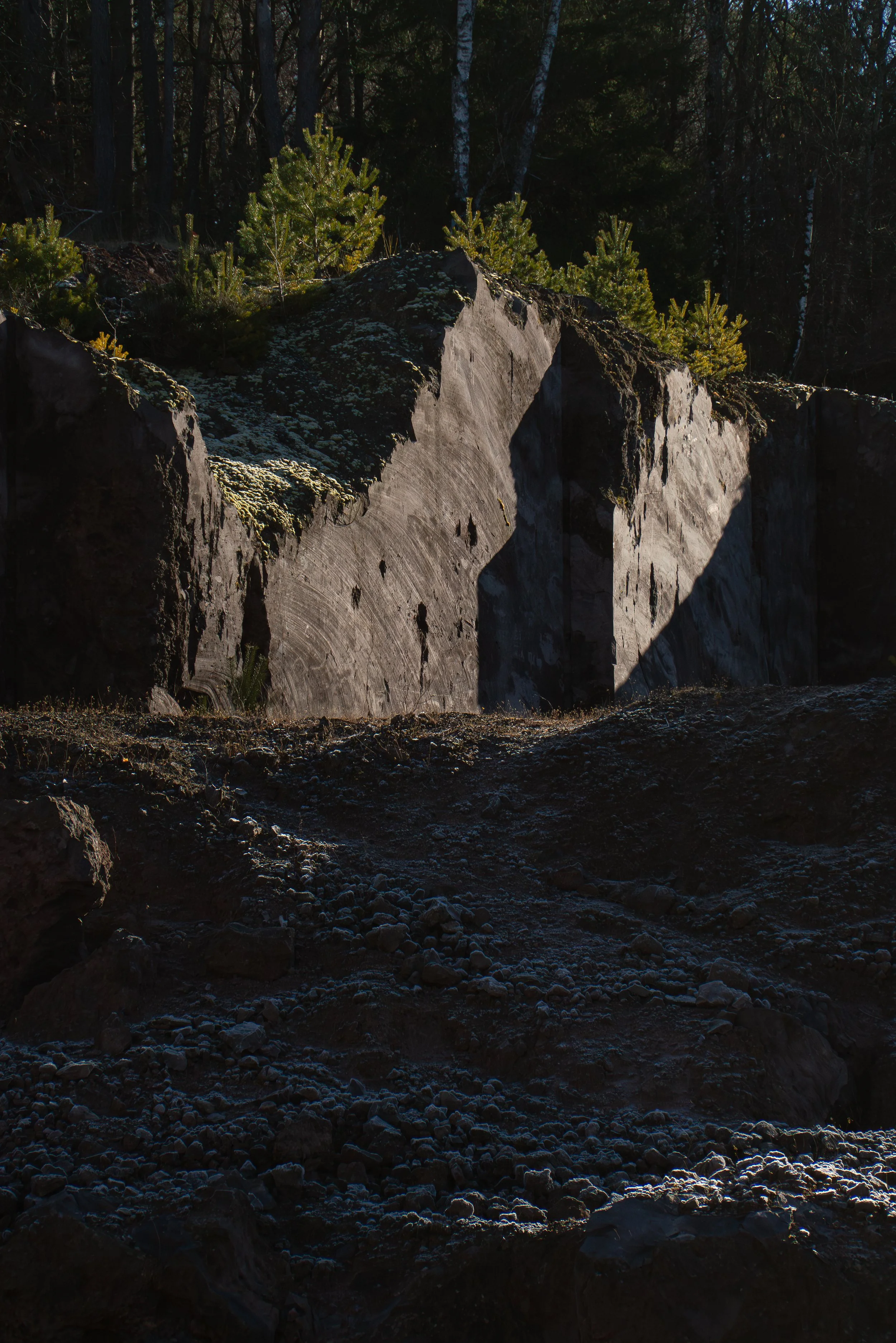 CÉLINE MARTINANT4.jpg