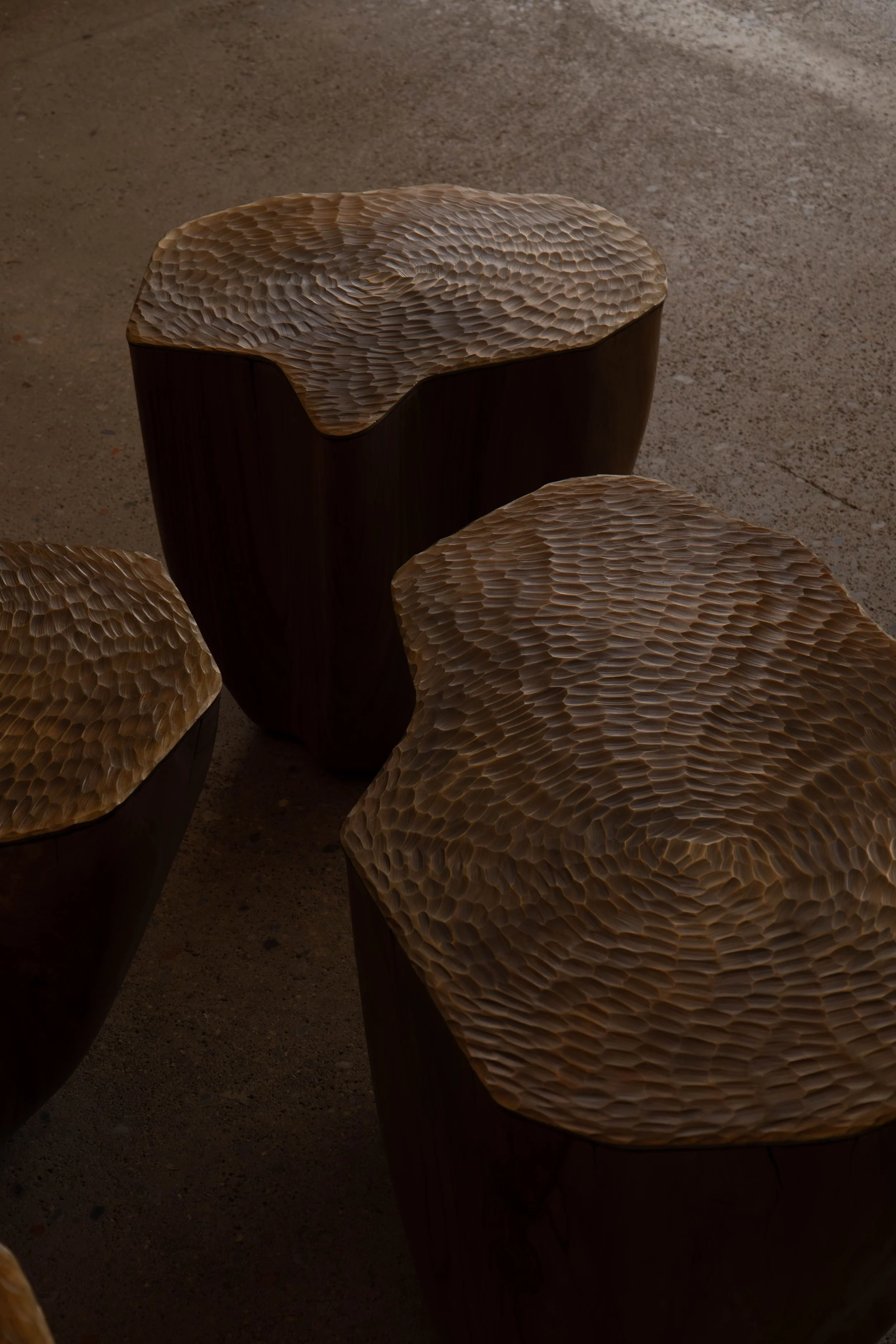 Jules Lobgeois Duramen - La Lune Galerie