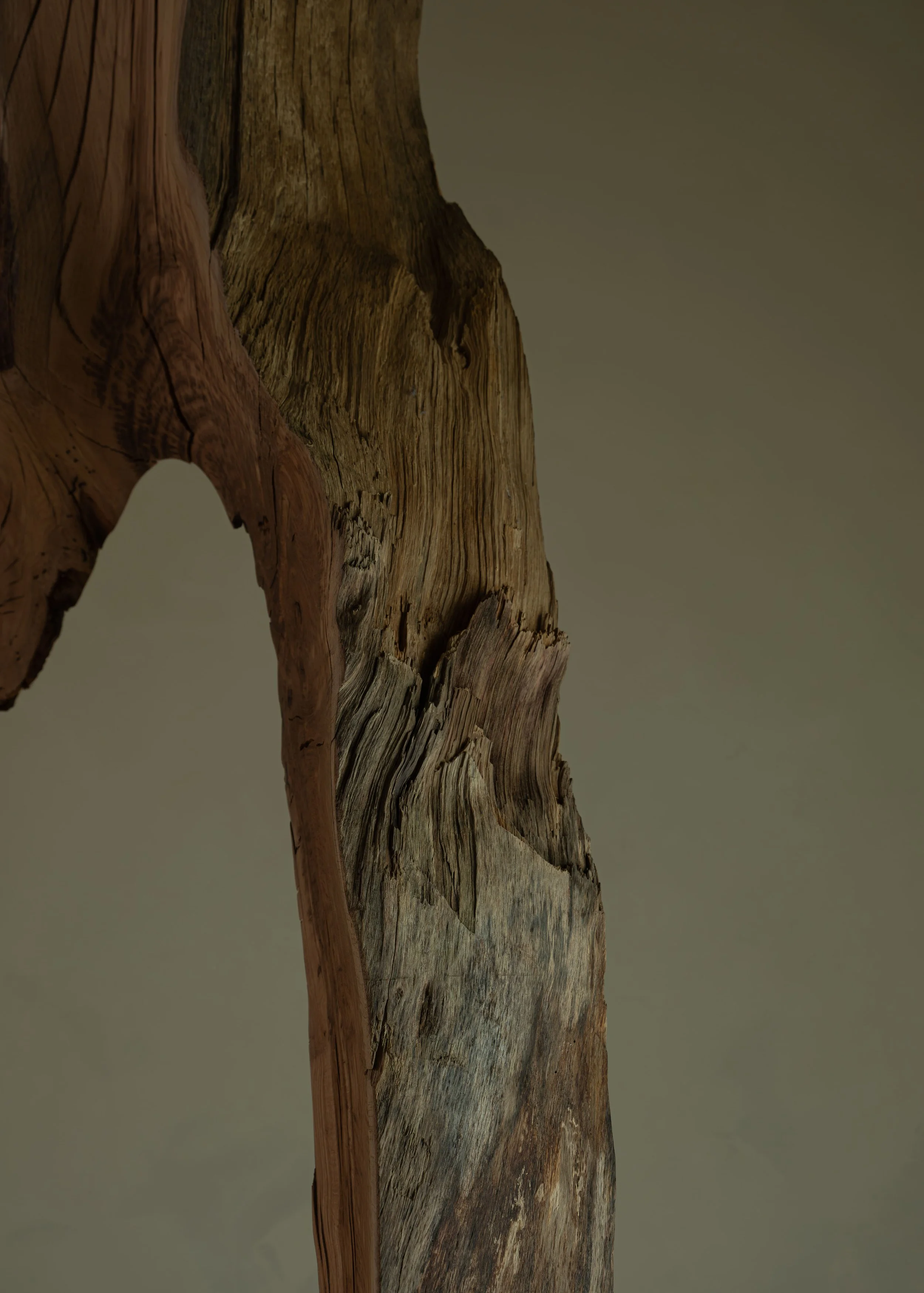 DSCF7695.jpg