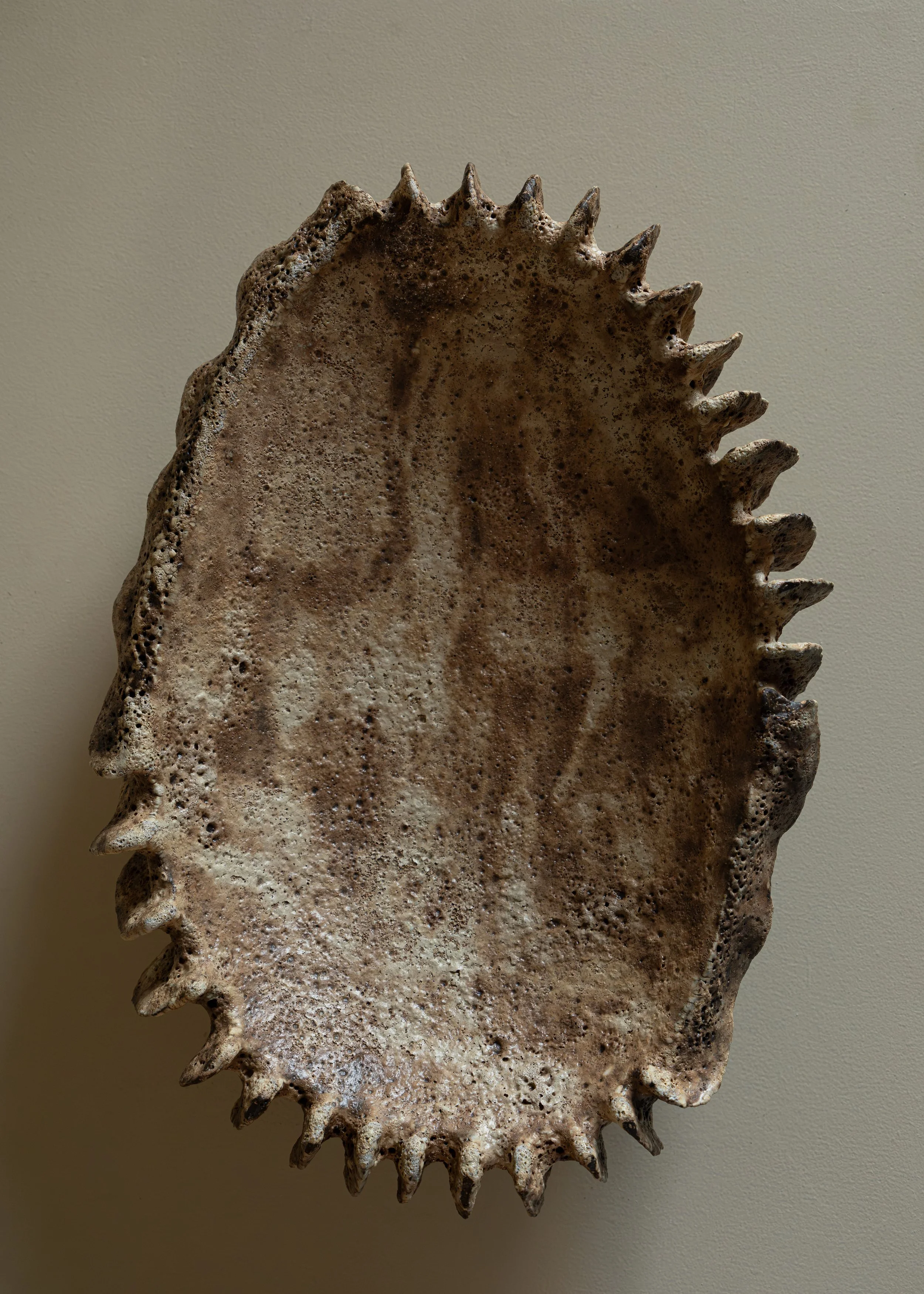 DSCF9975.jpg