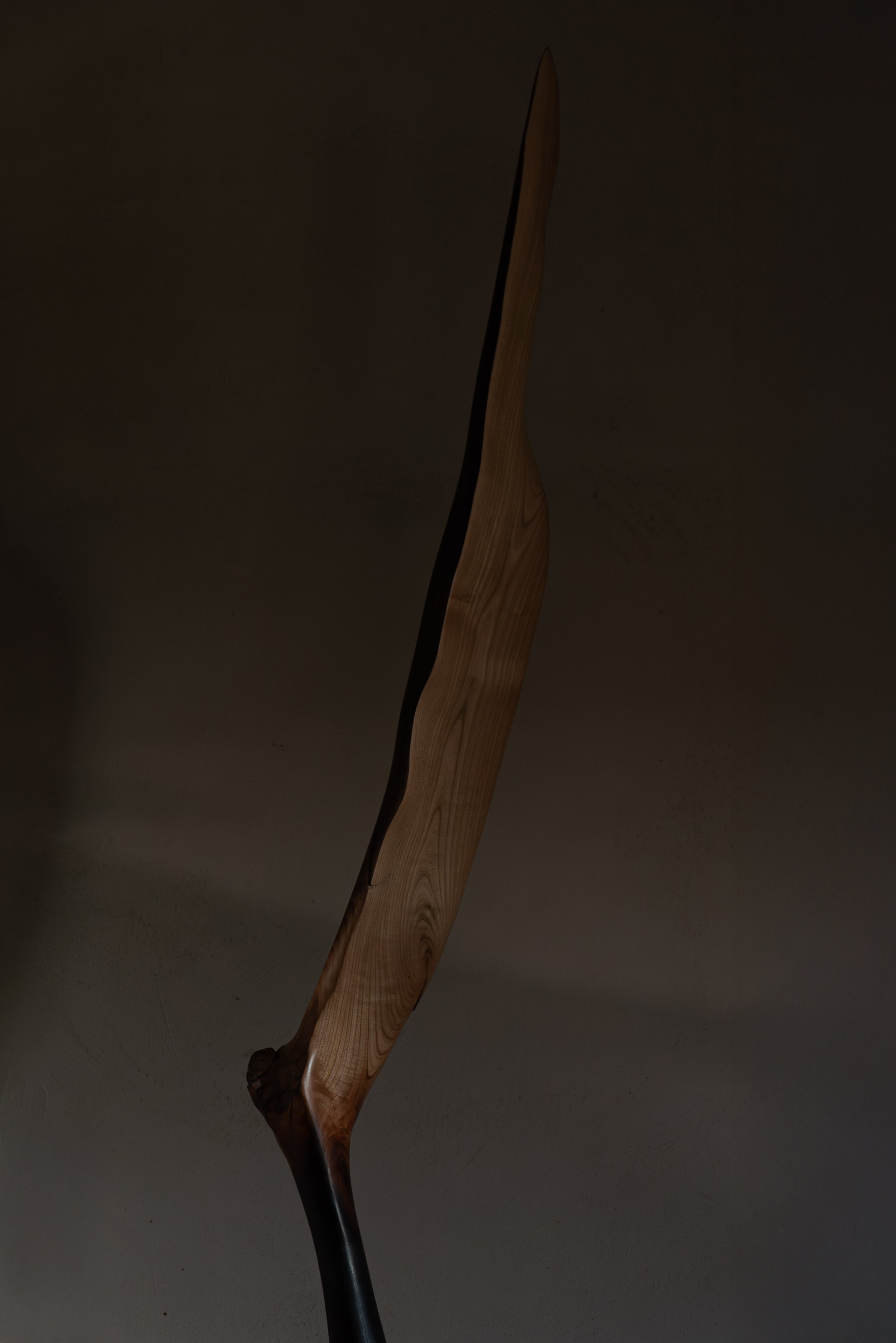 29112024-DSC09984-Avecaccentuation-Bruit.jpg