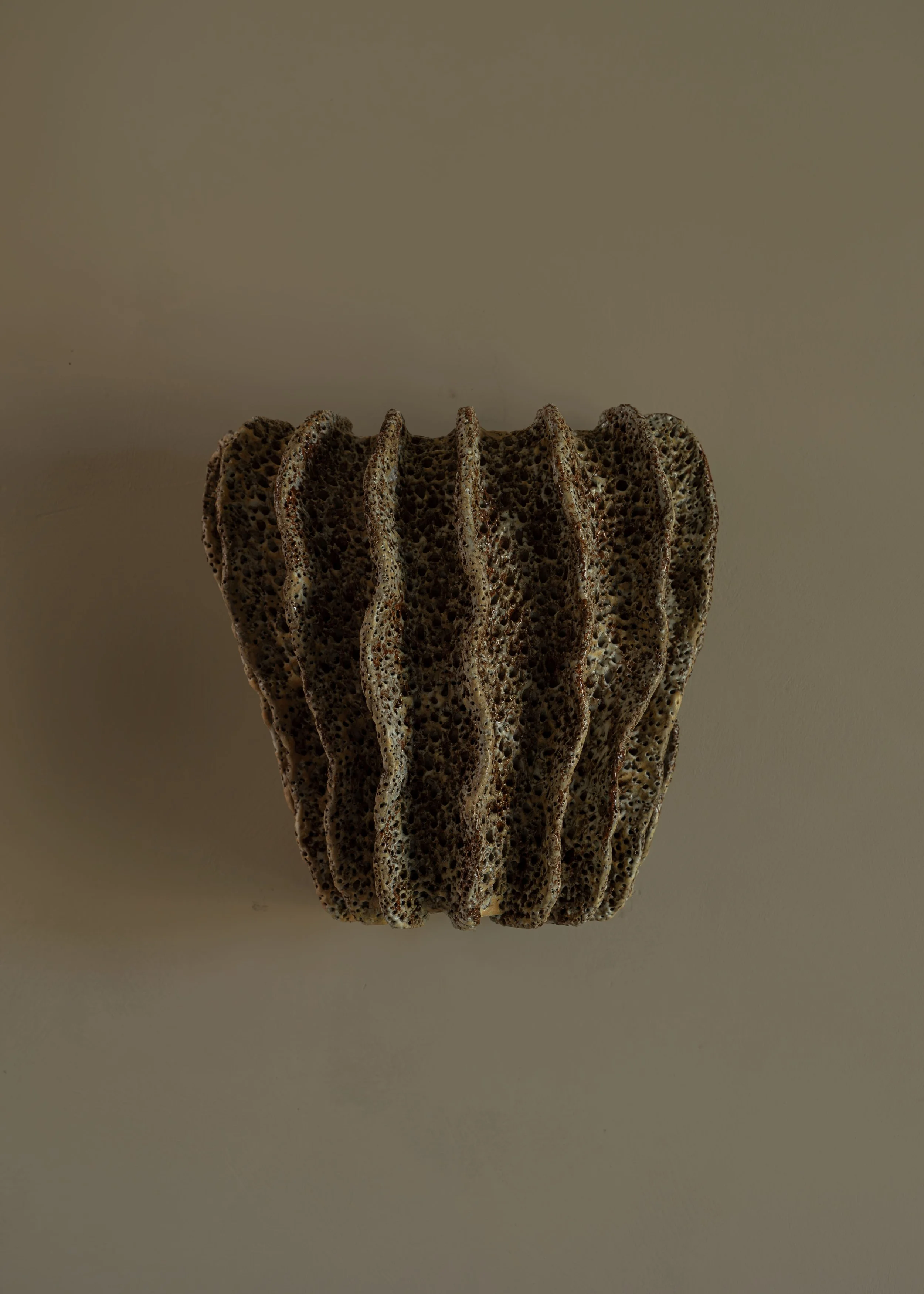 DSCF8282.jpg
