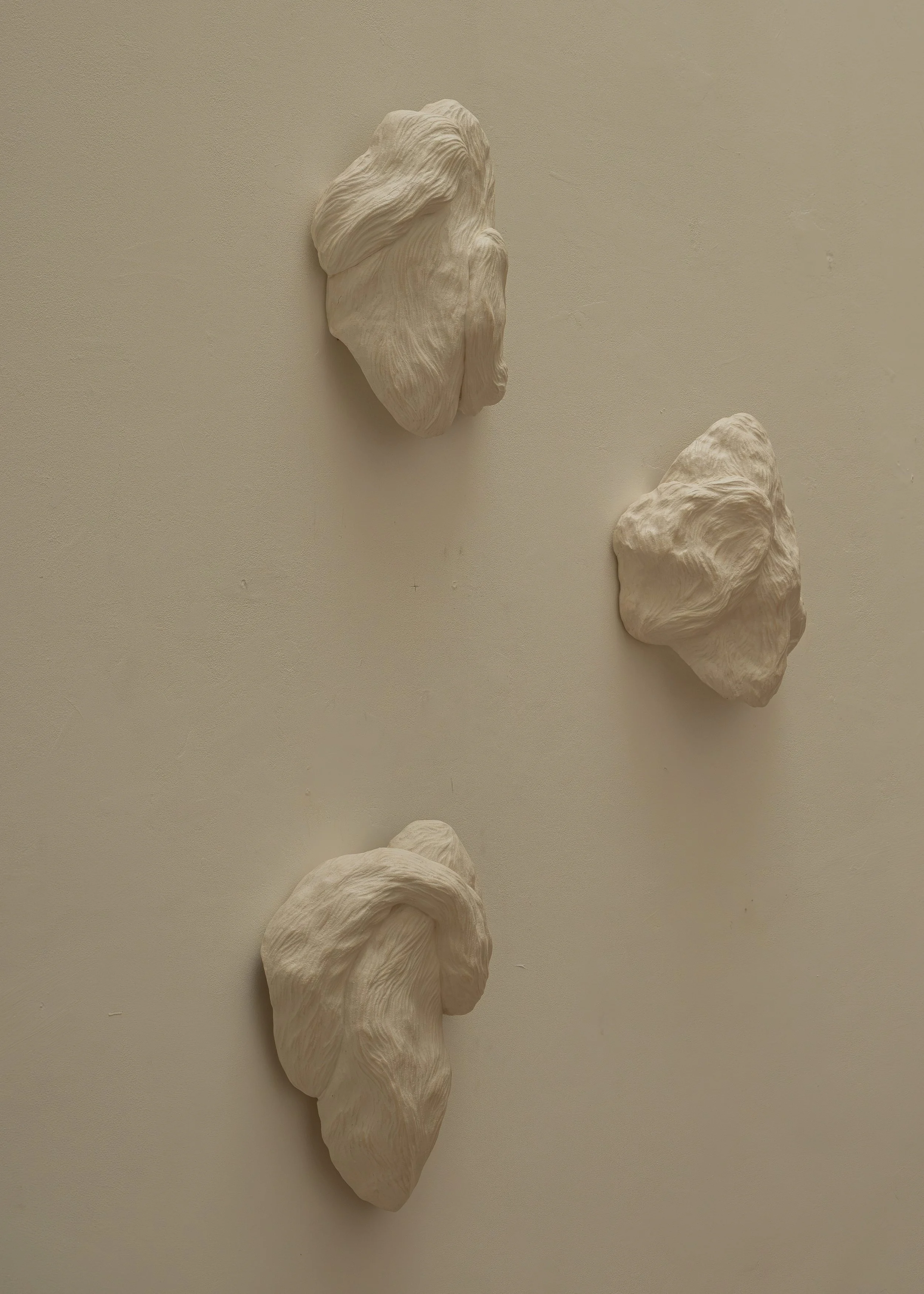 DSCF9648.jpg