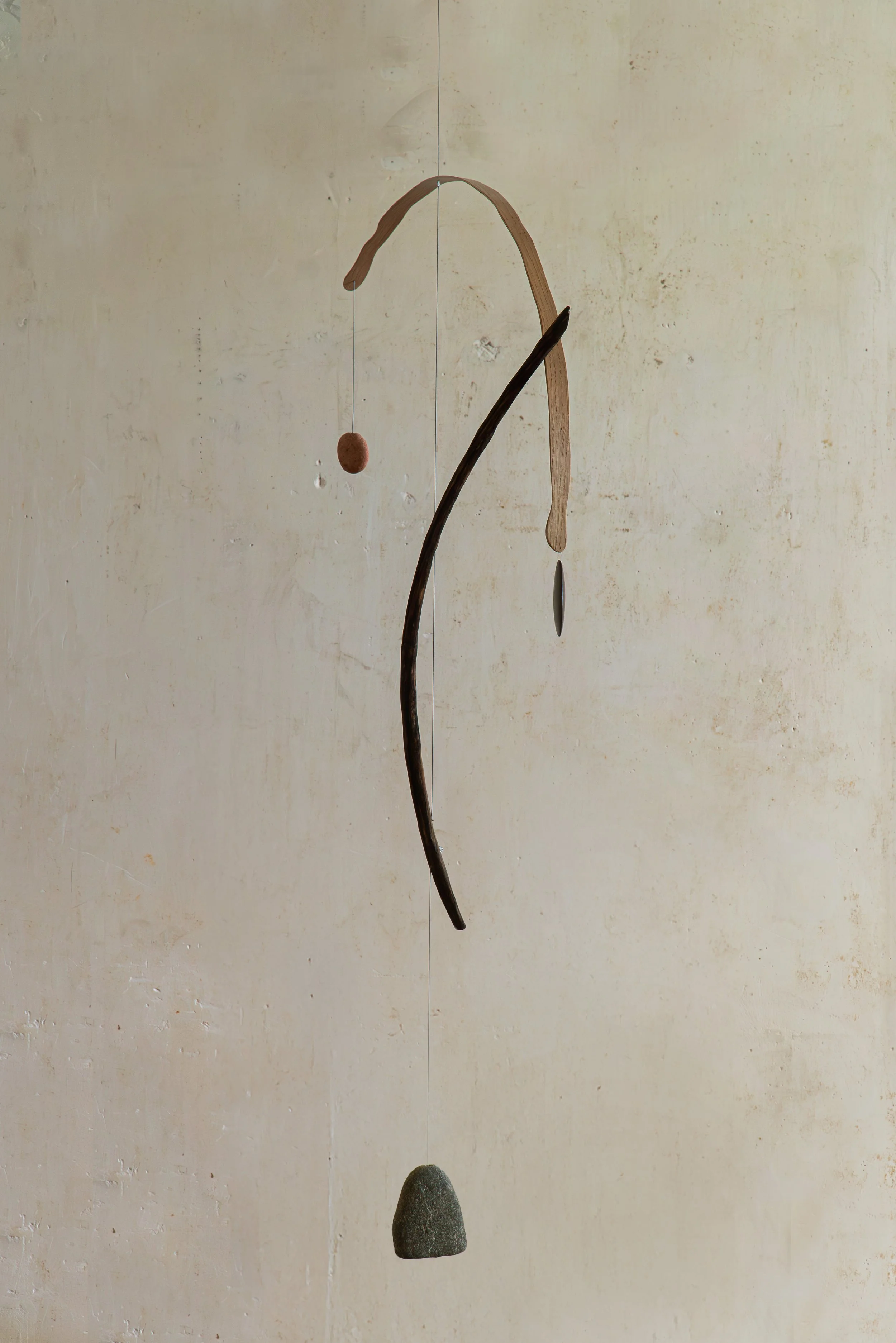 SUSPENSION #36