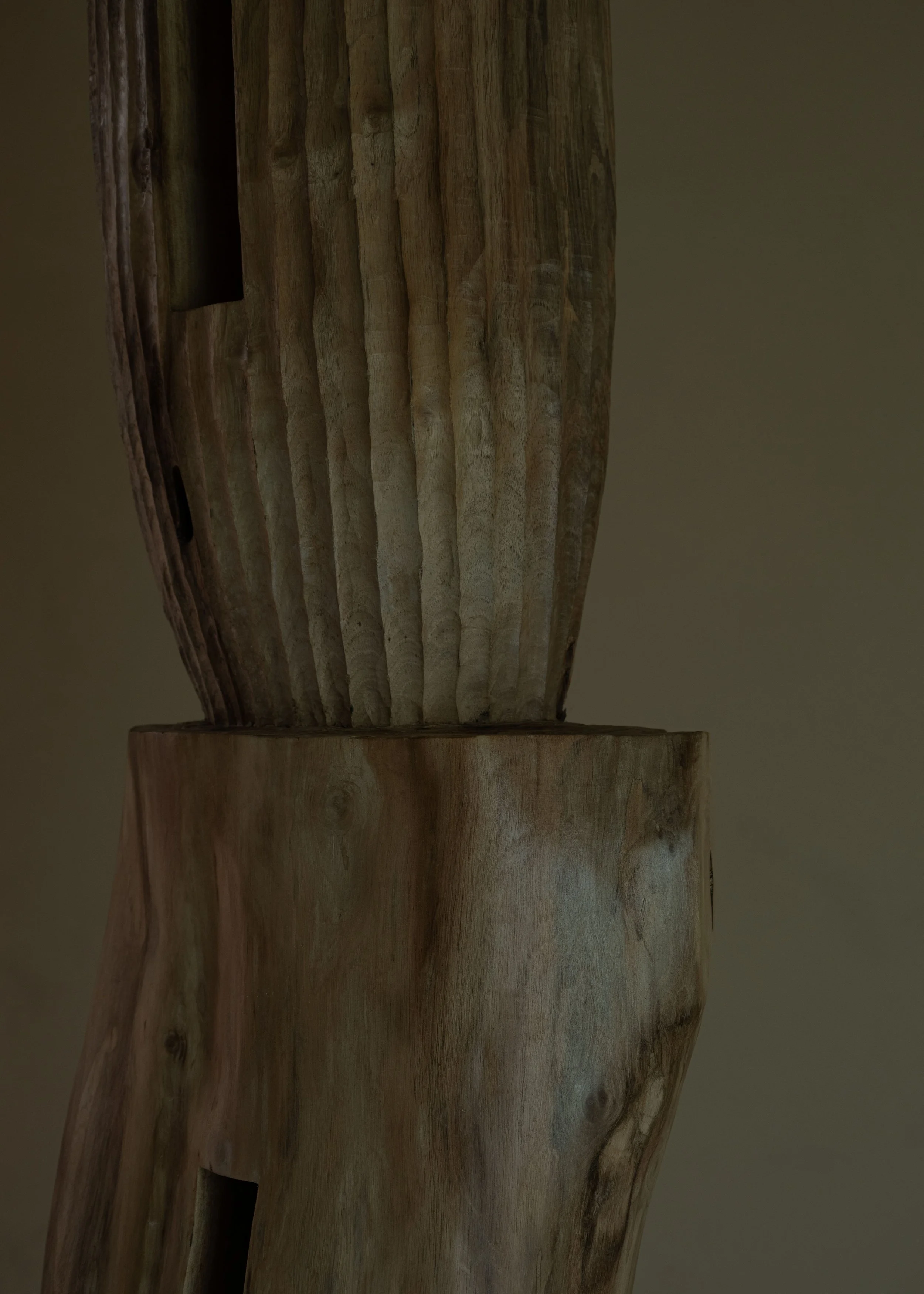 DSCF7721.jpg