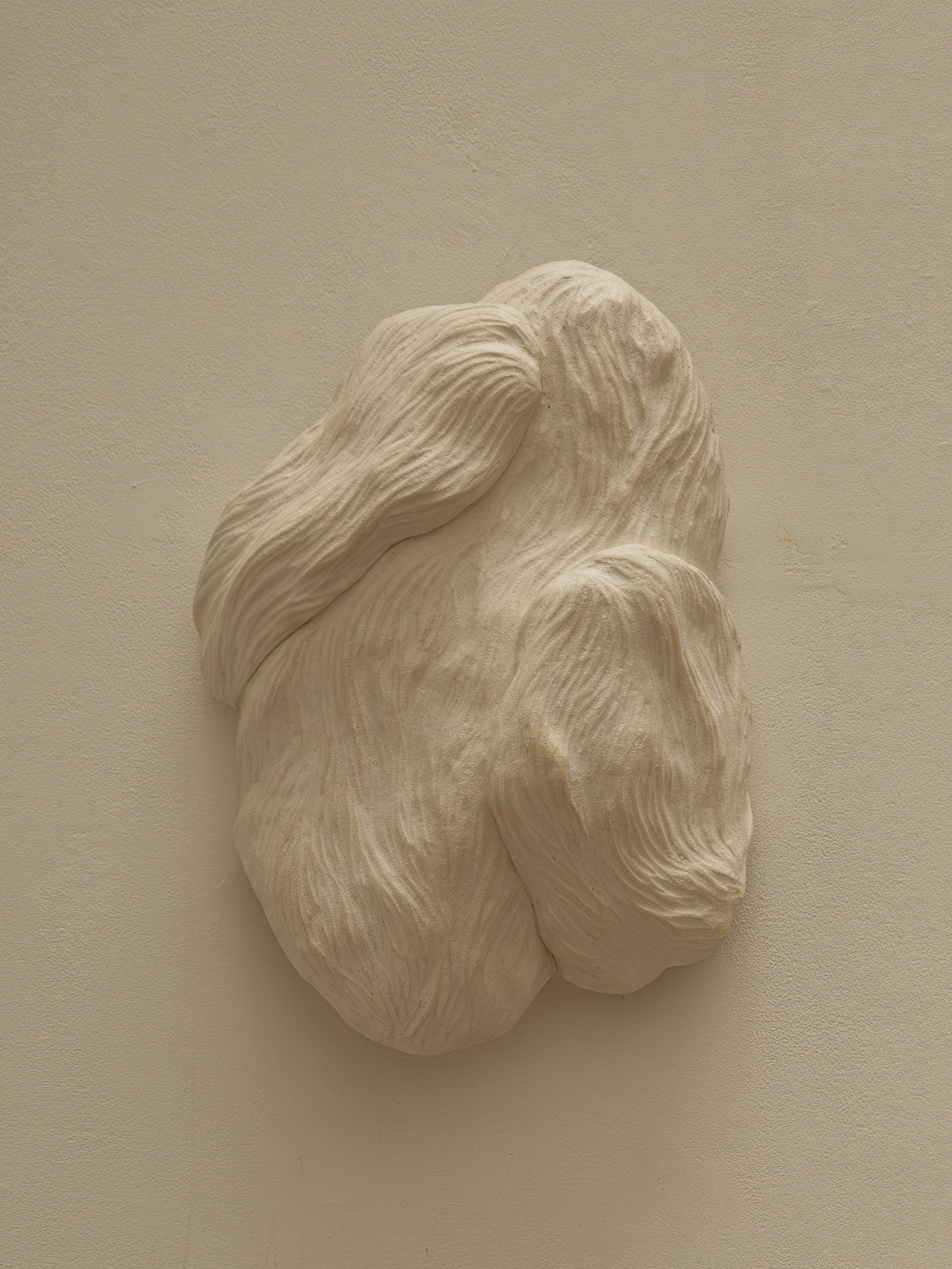 DSCF9651.jpg