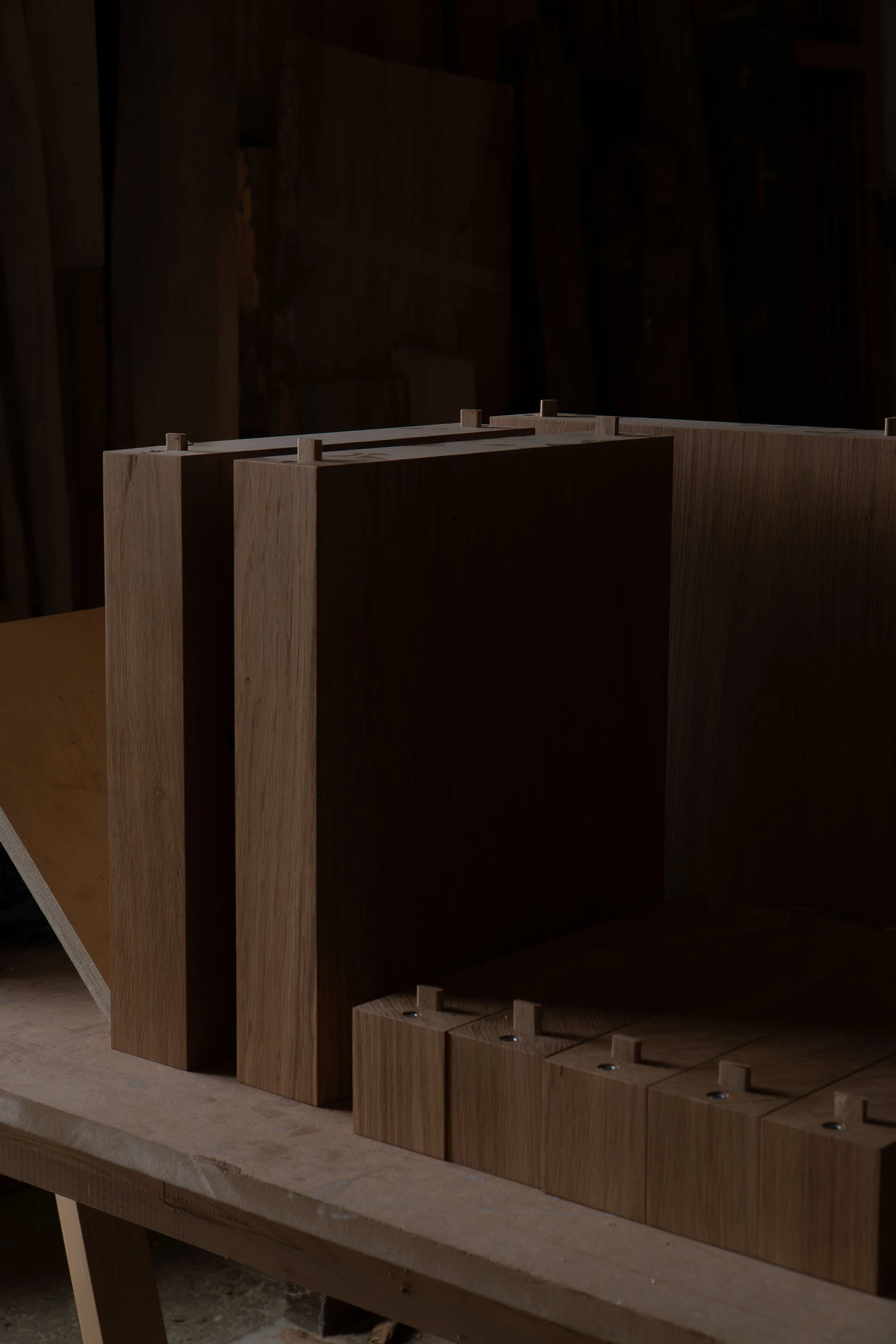 21022025-DSC03473-Avec accentuation-Bruit.jpg