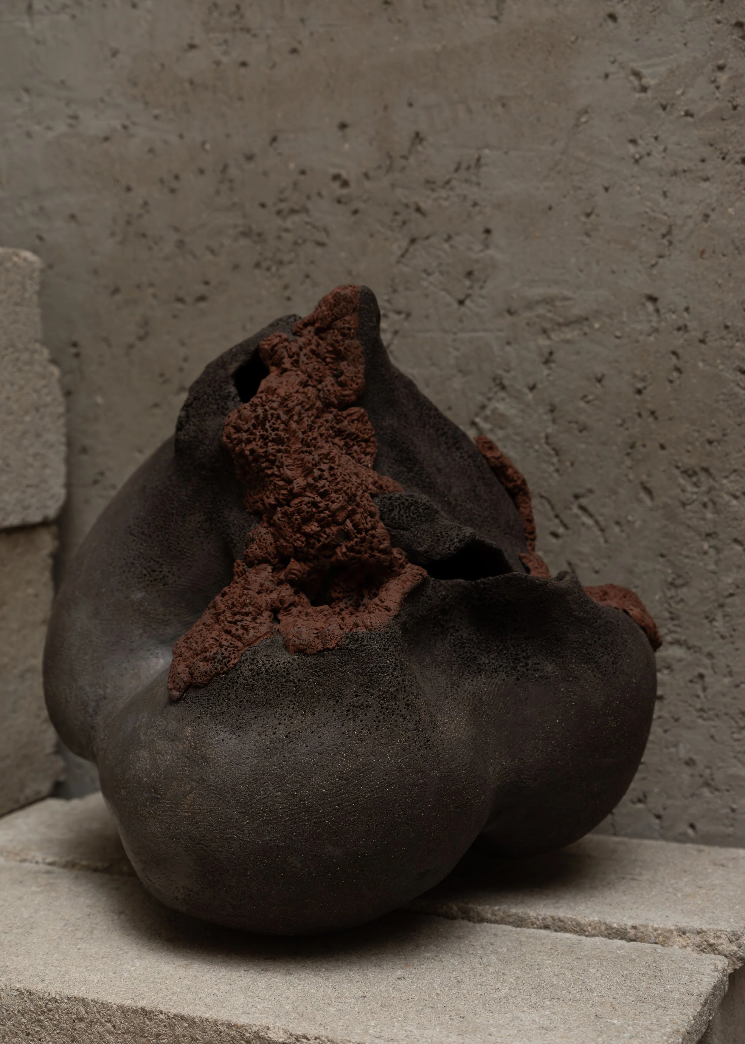 DSCF7149.jpg