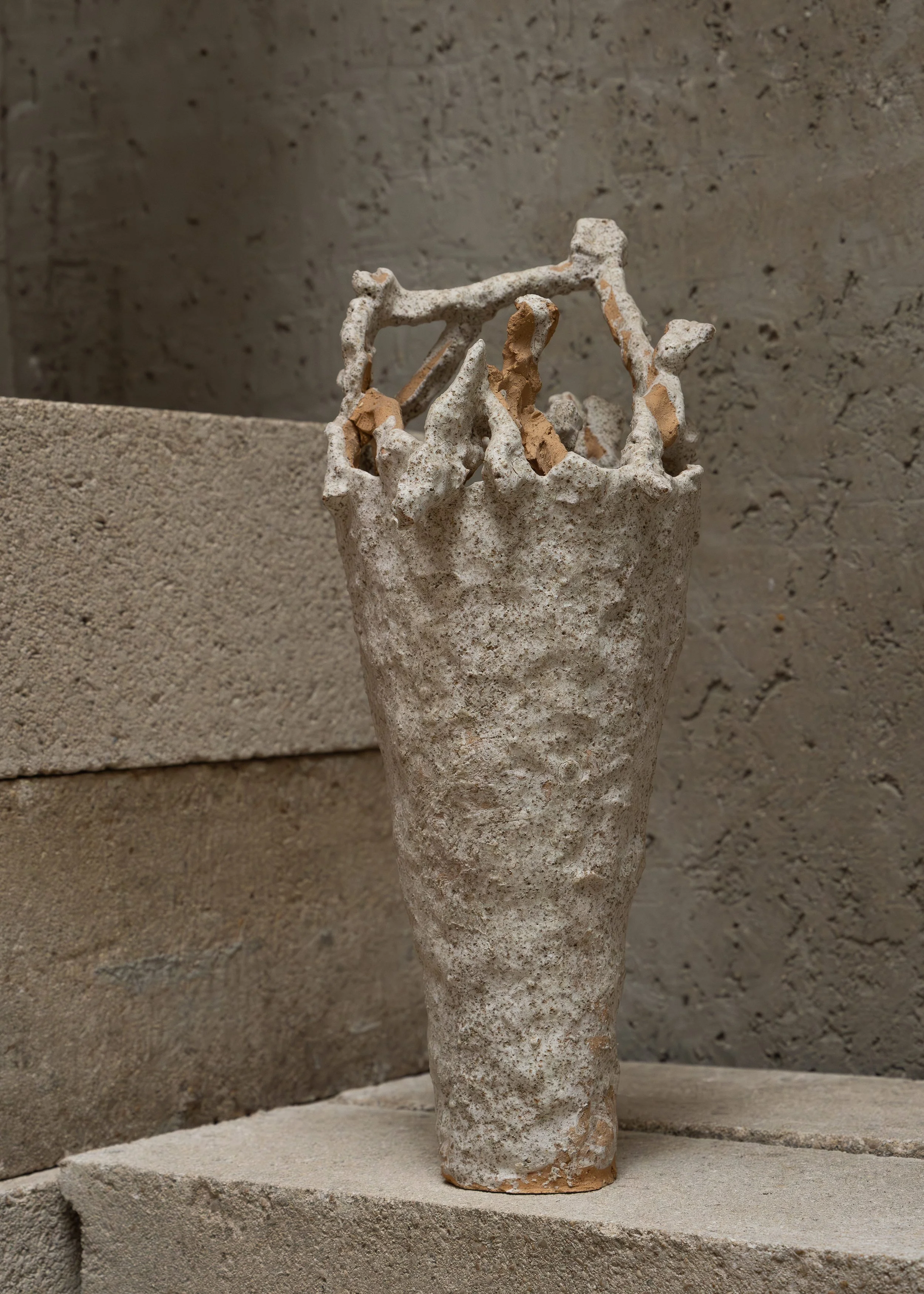DSCF7291.jpg
