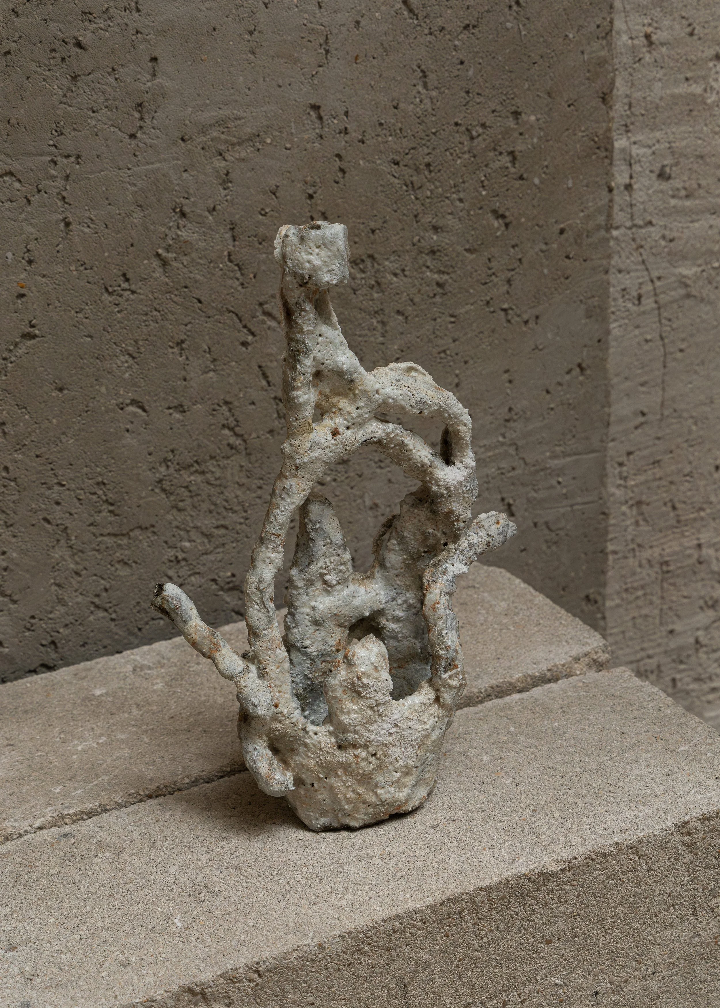 DSCF7283.jpg
