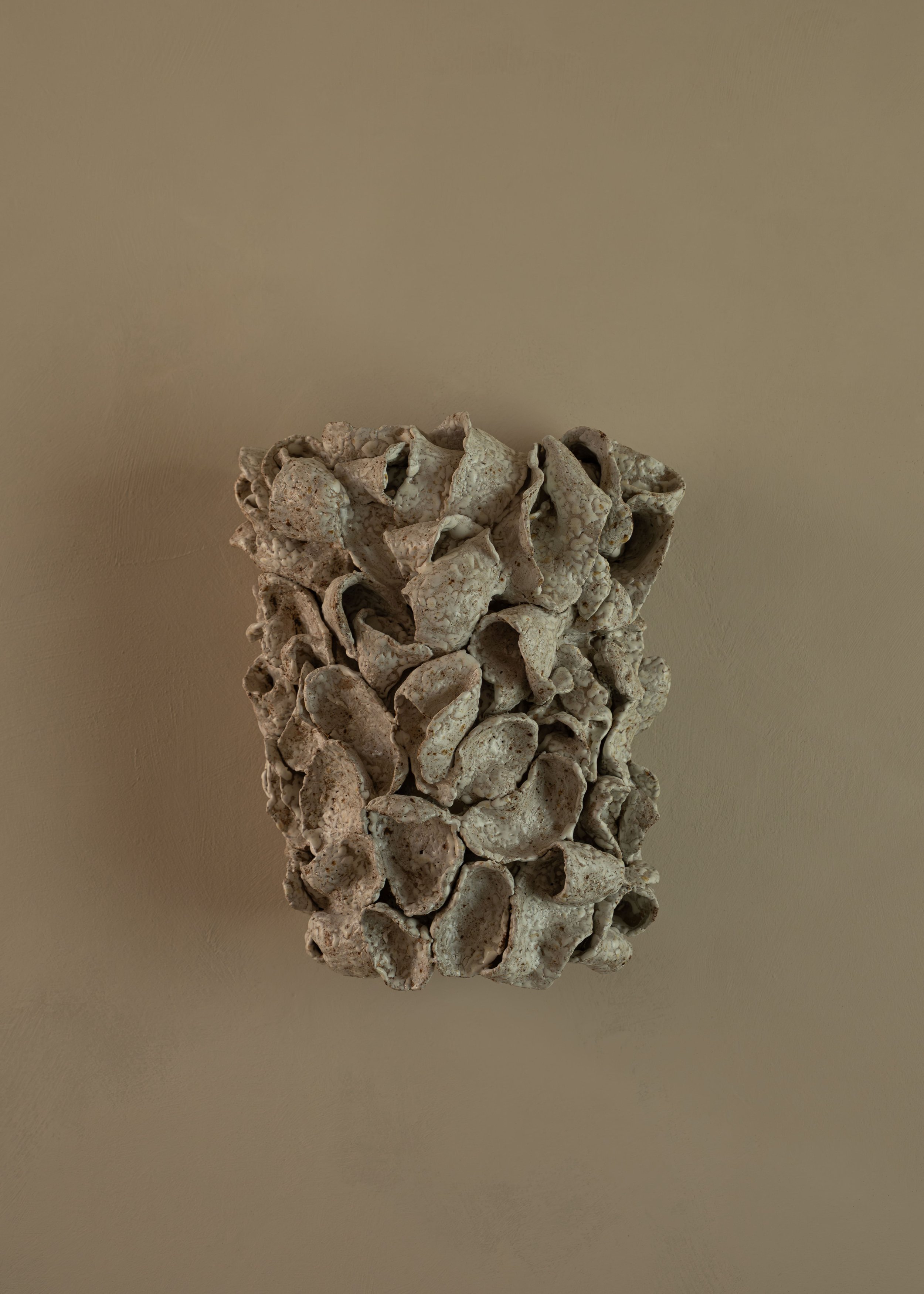 DSCF8243.jpg