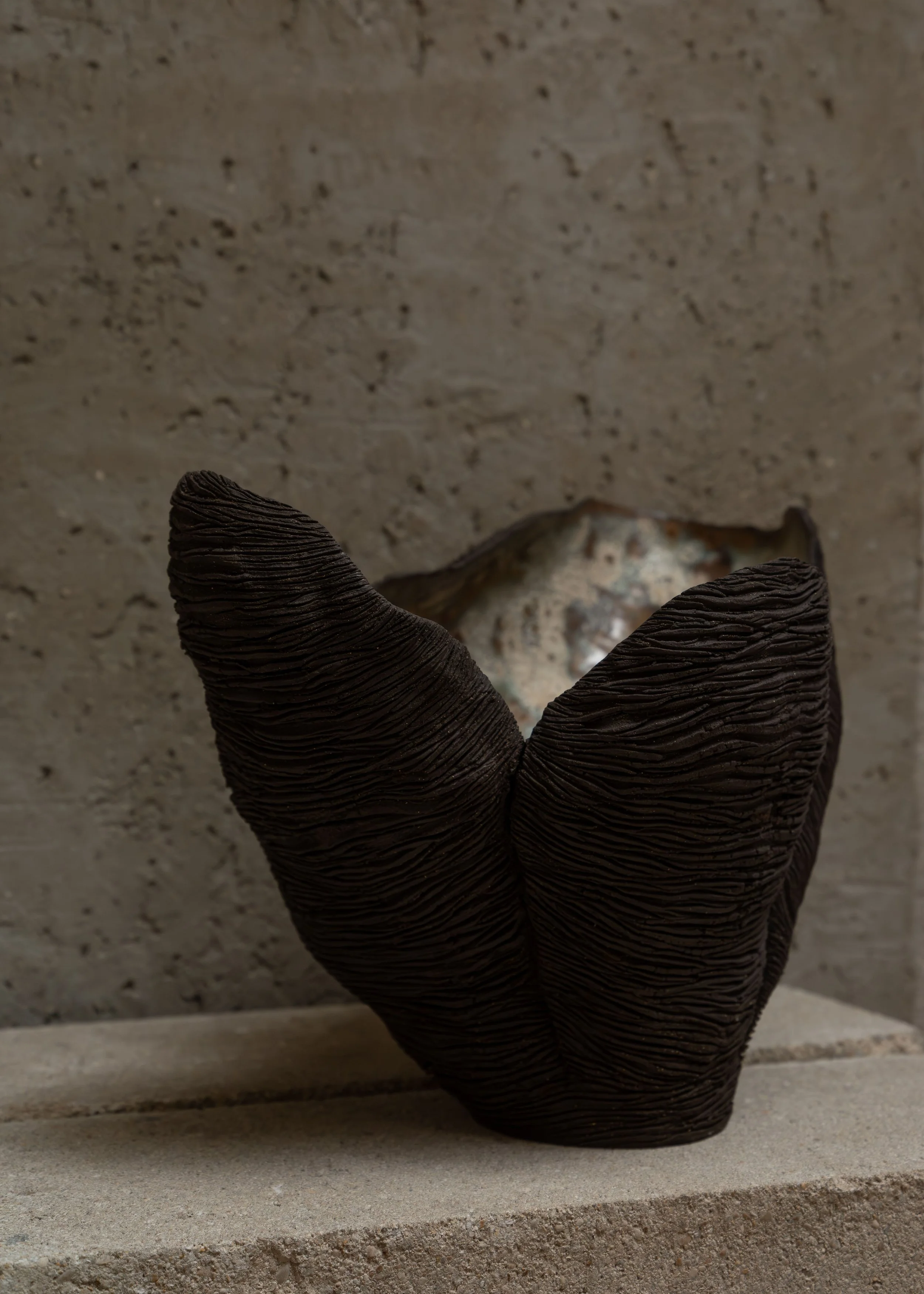 DSCF7157.jpg