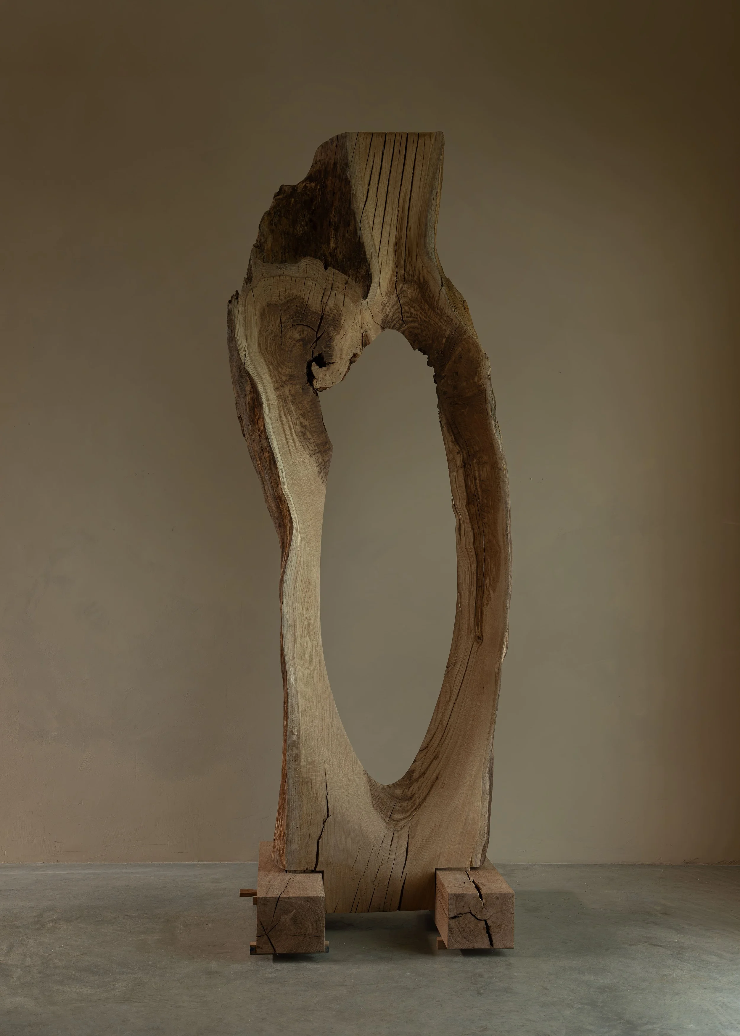 OAK, A PORTRAIT