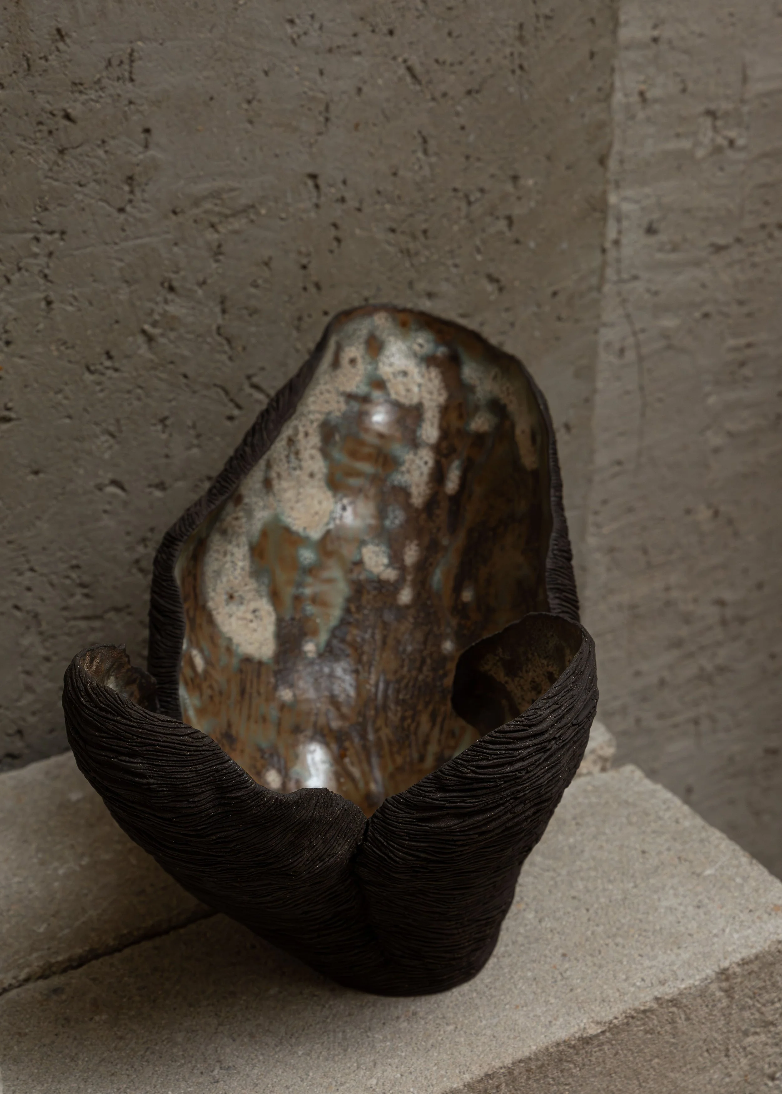 DSCF7156.jpg