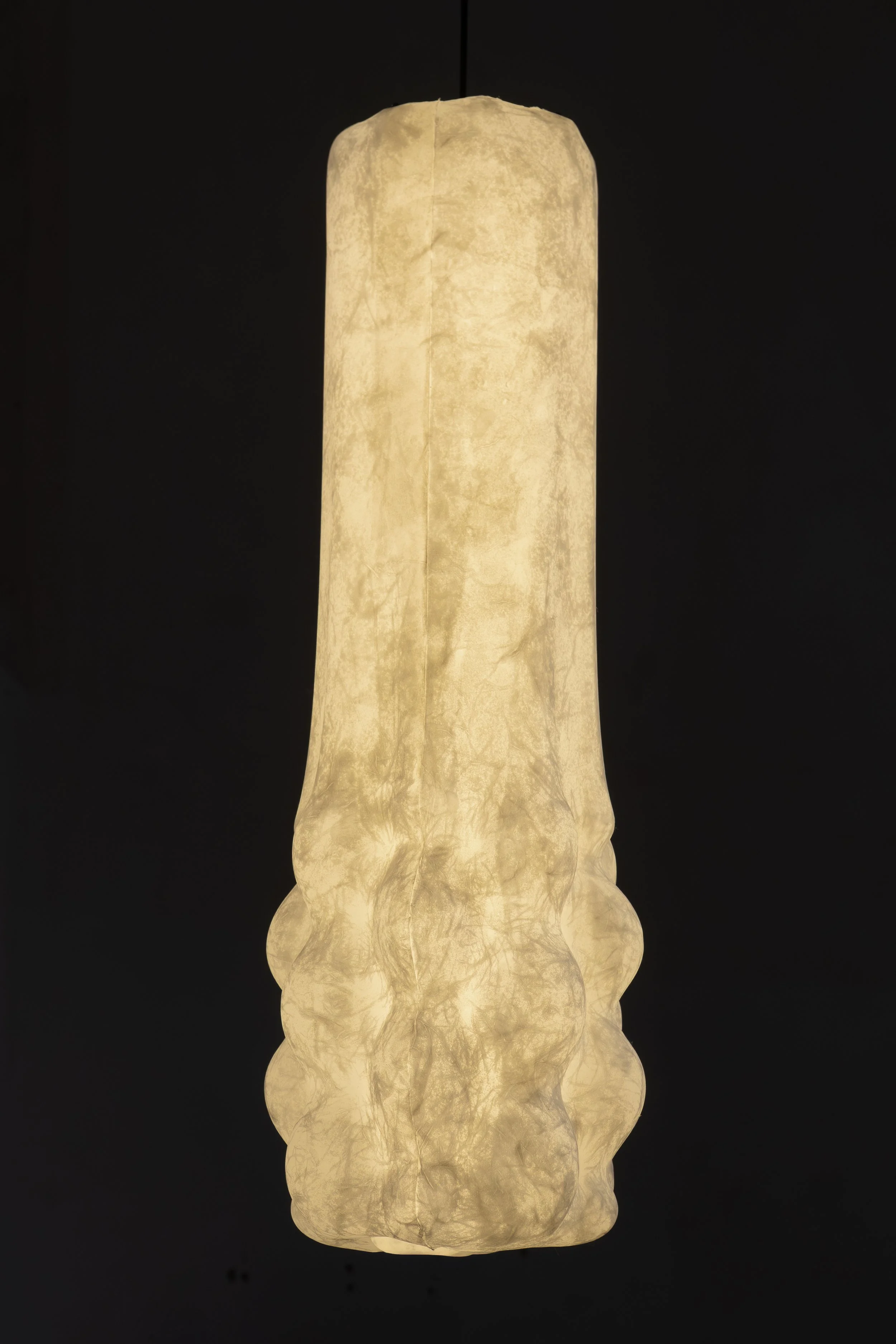 01032025-DSC04609-Avec accentuation-Bruit.jpg