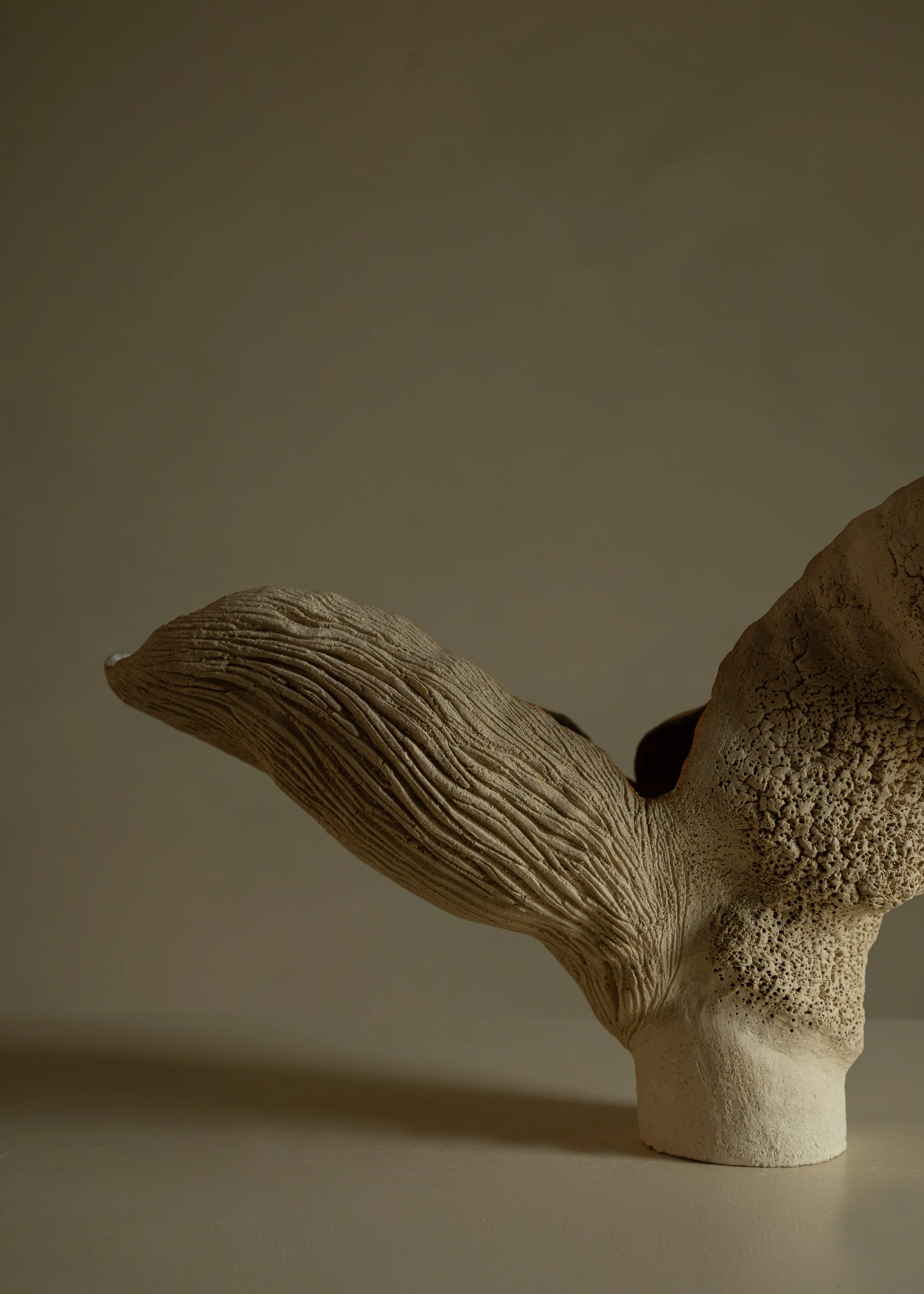 DSCF9880.jpg