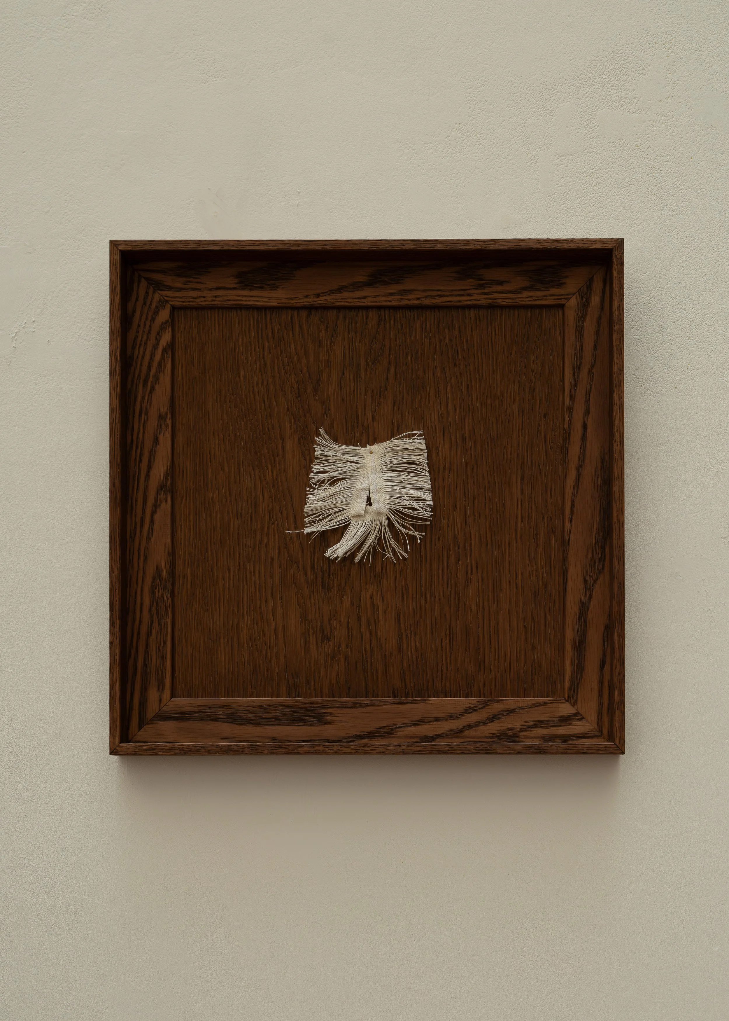 DSCF9608.jpg