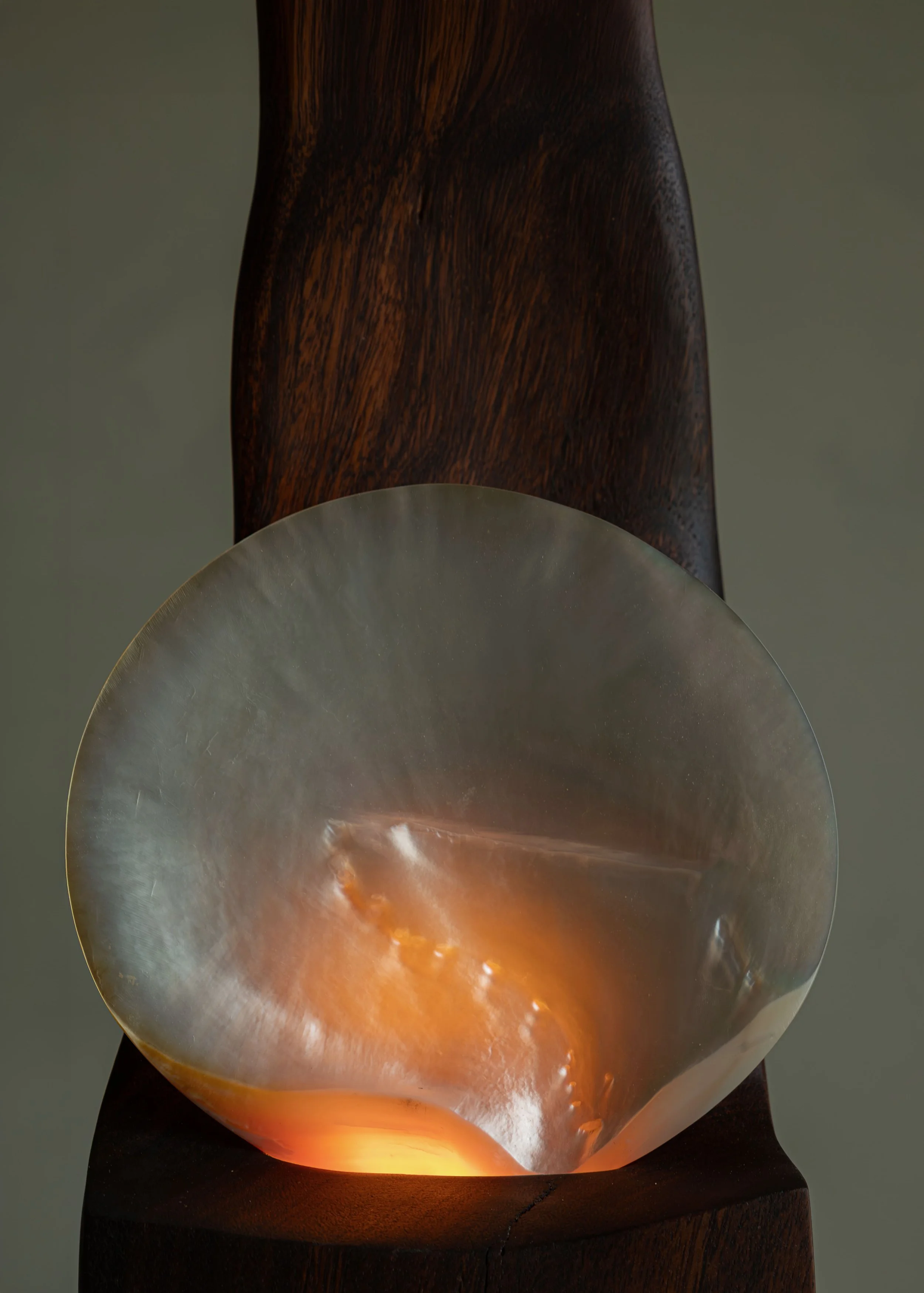 DSCF7984.jpg