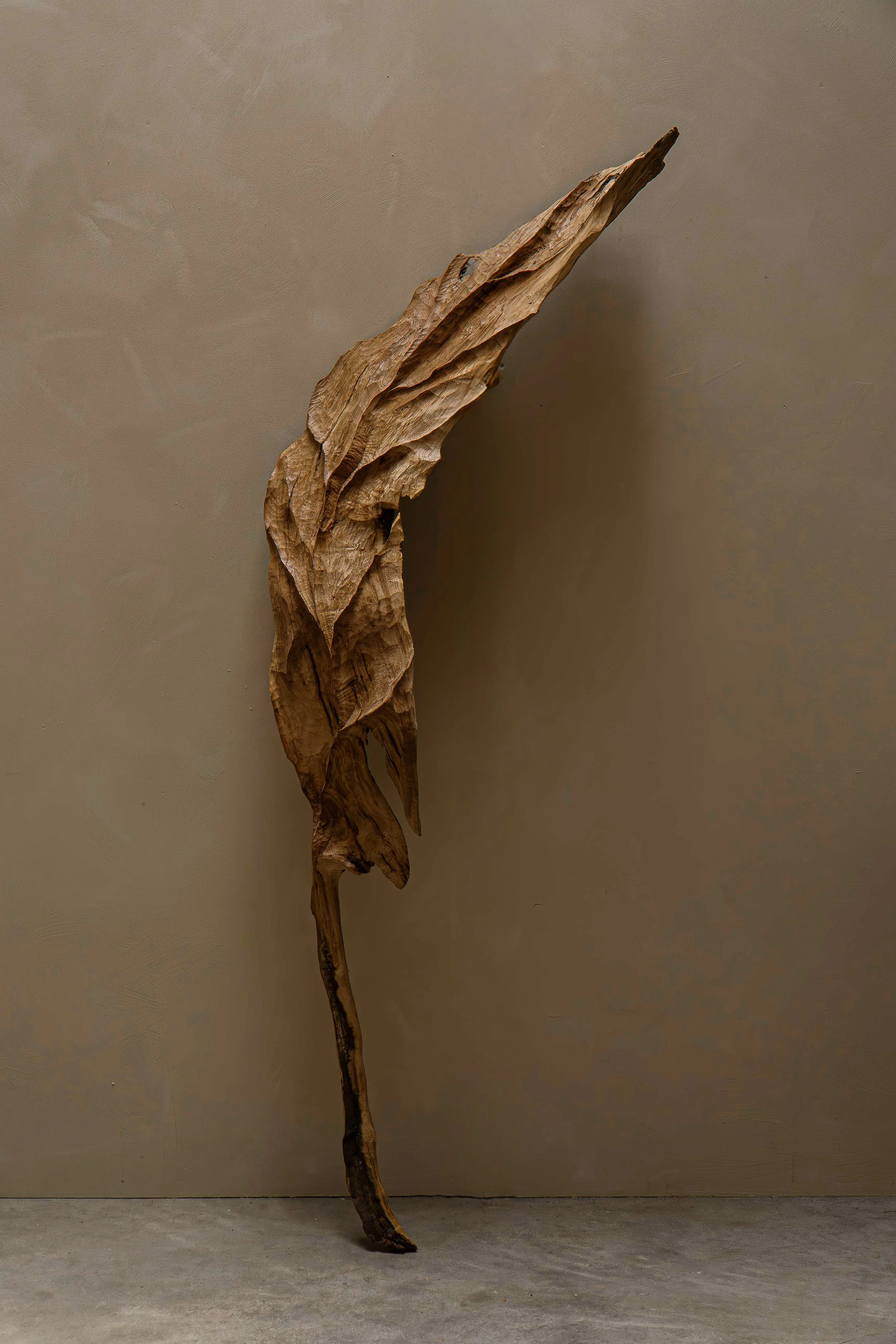 GRANDE FEUILLE "S'ÉVENNE"