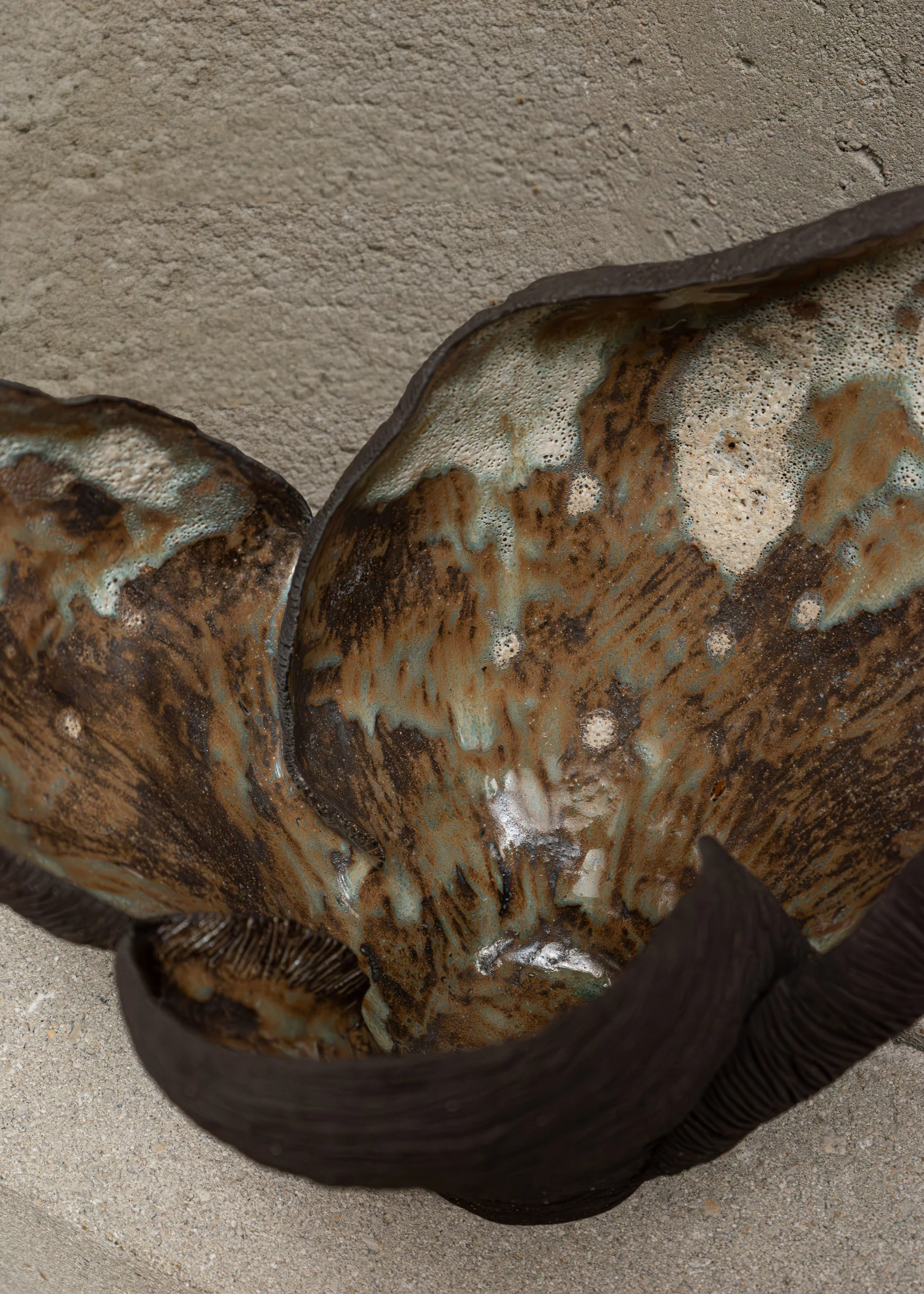 DSCF7161.jpg