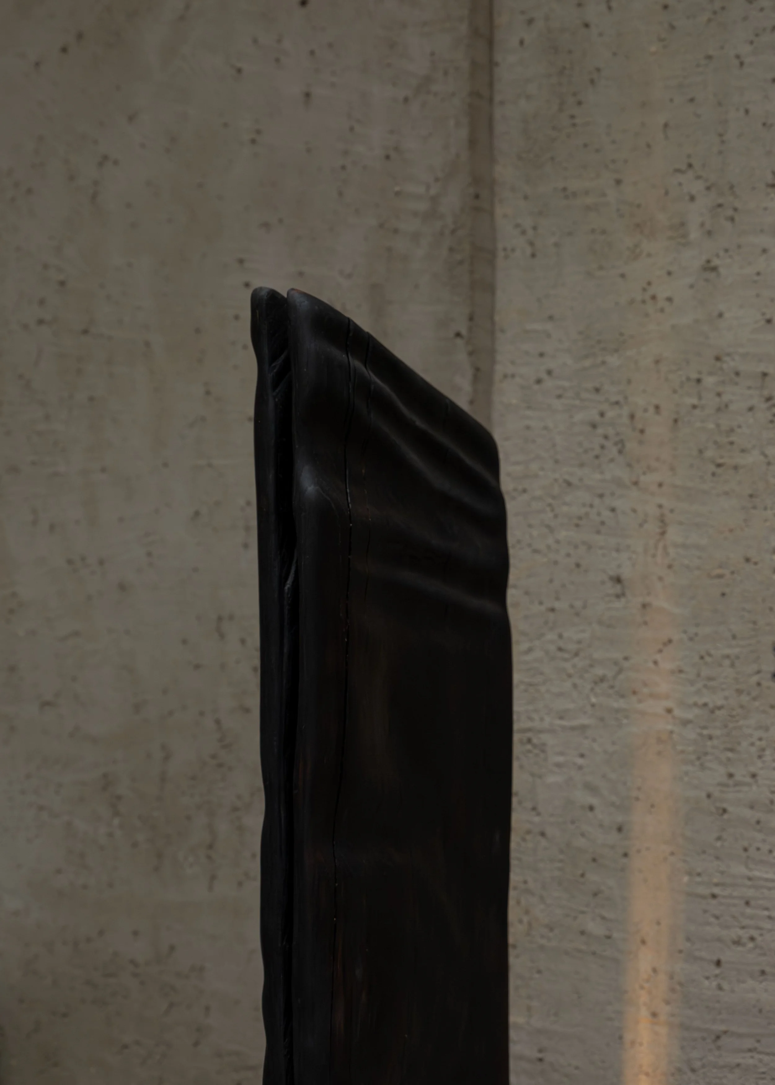 DSCF7351.jpg