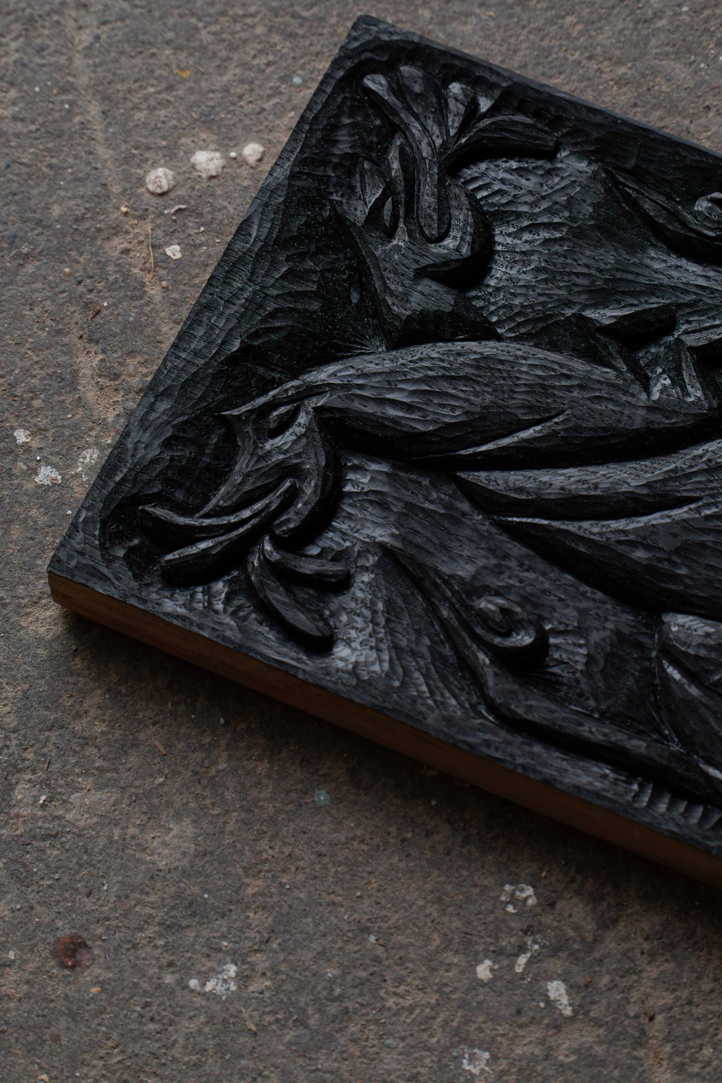 21022025-DSC03500-Avec accentuation-Bruit.jpg