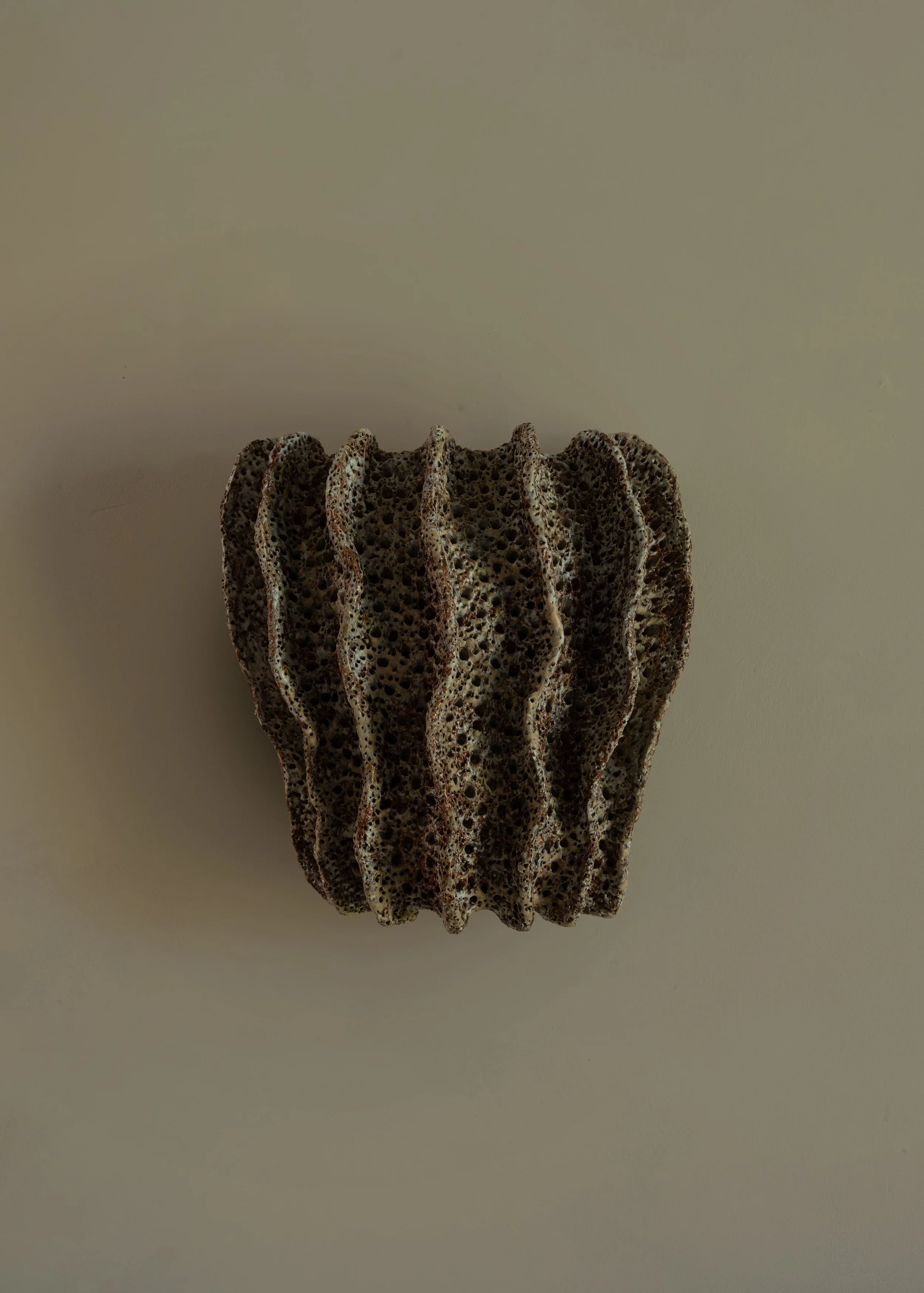 DSCF8256.jpg