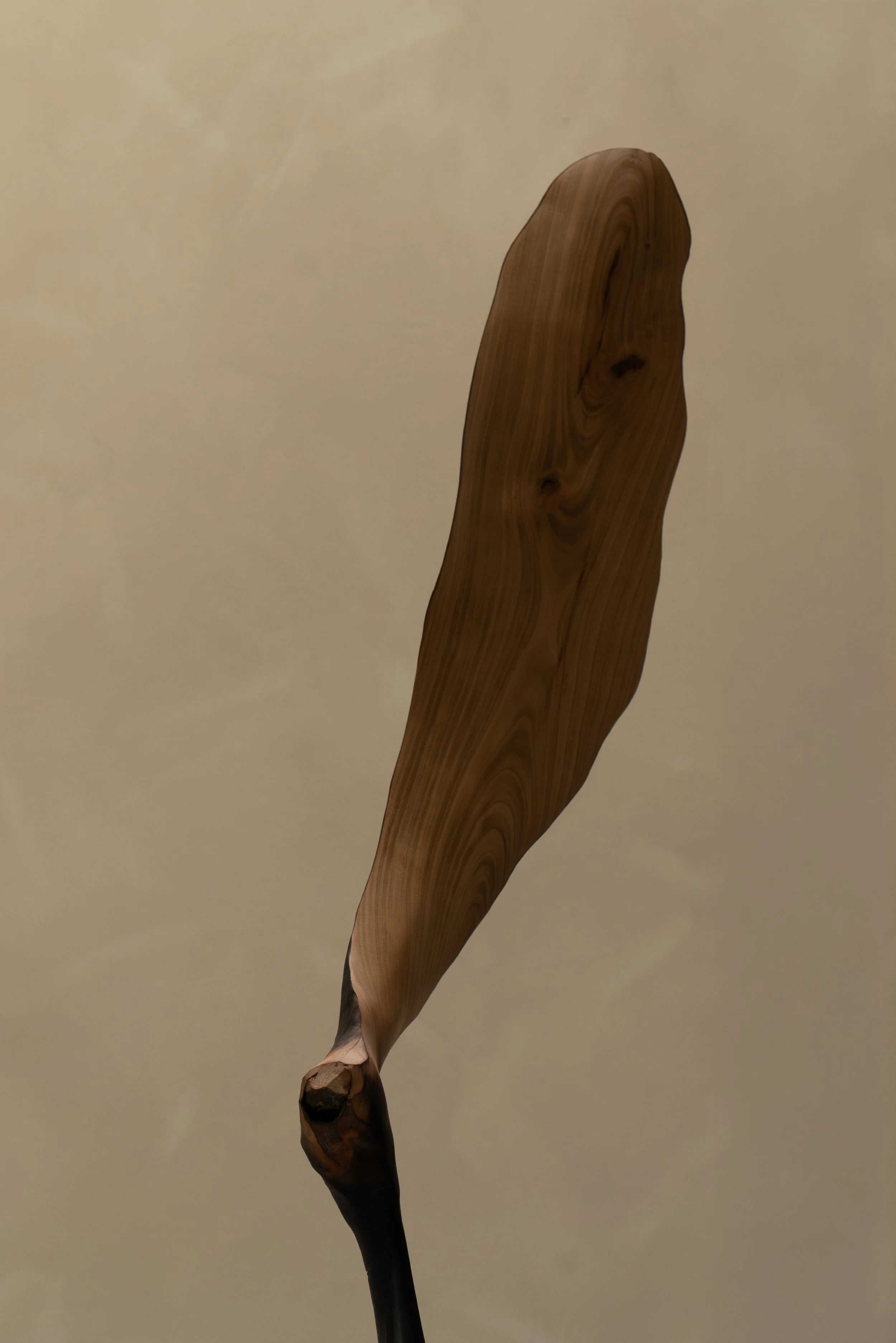 JULES_LOBGEOIS2.jpg