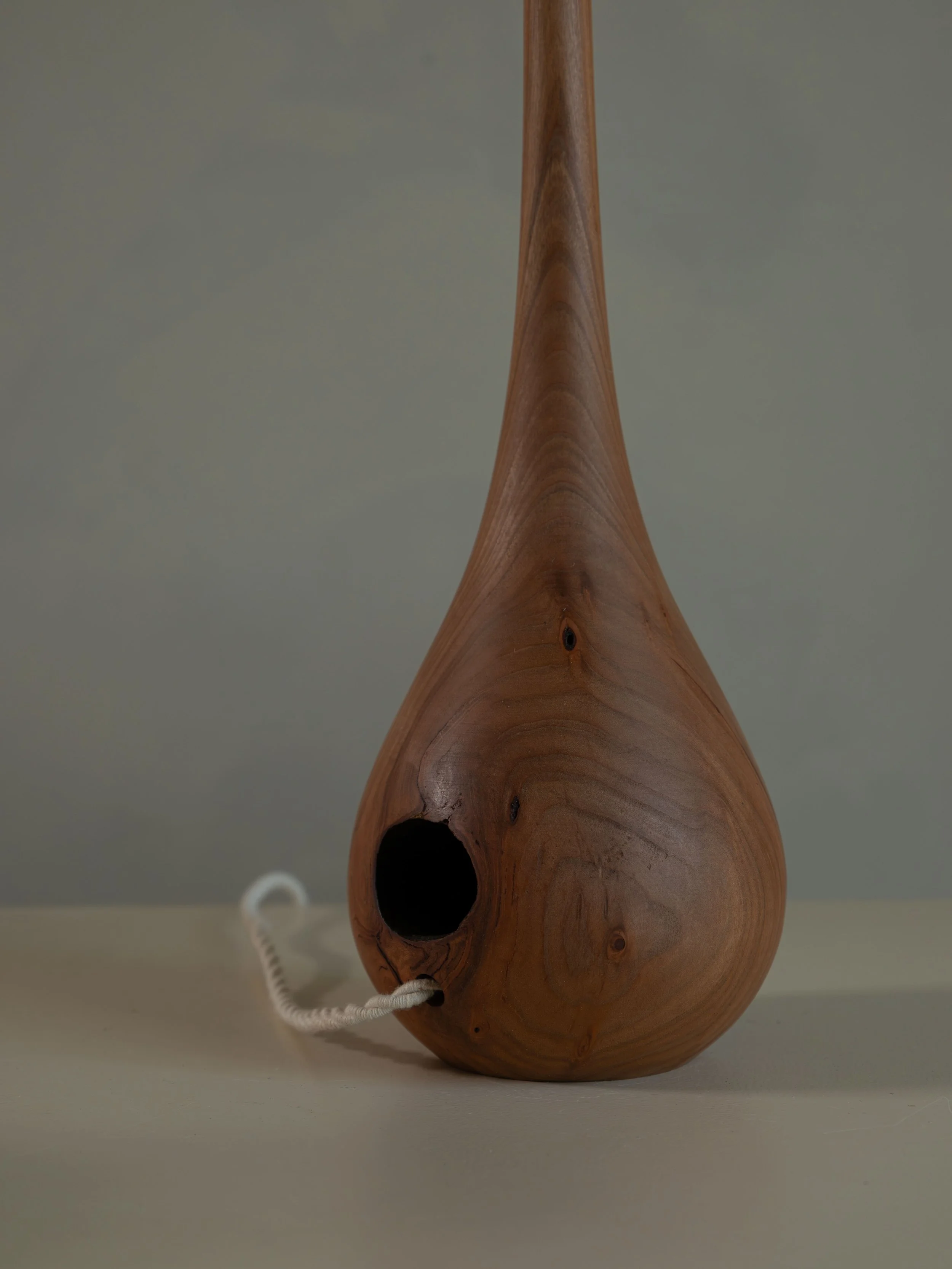 DSCF8336.jpg