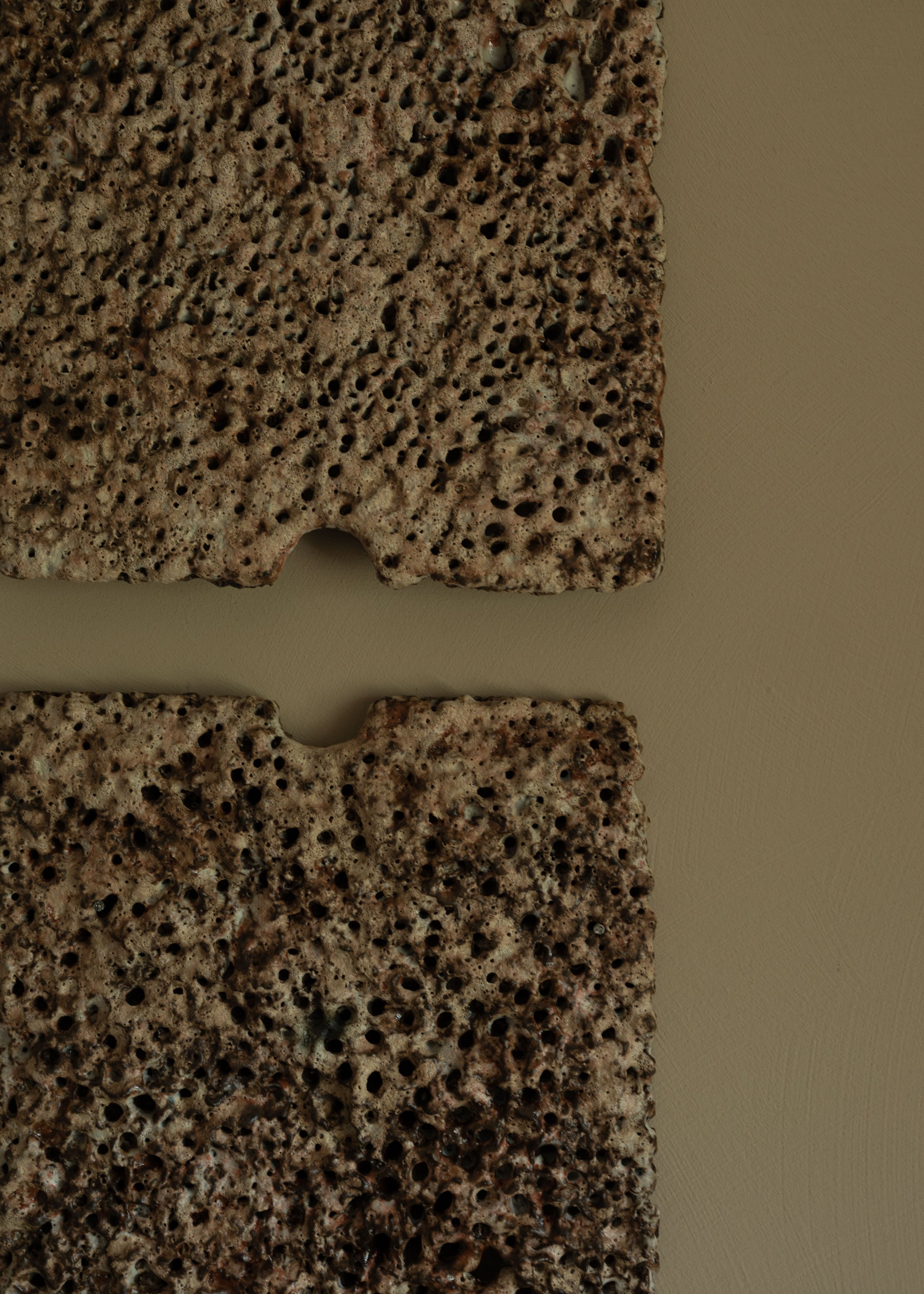 DSCF8115.jpg