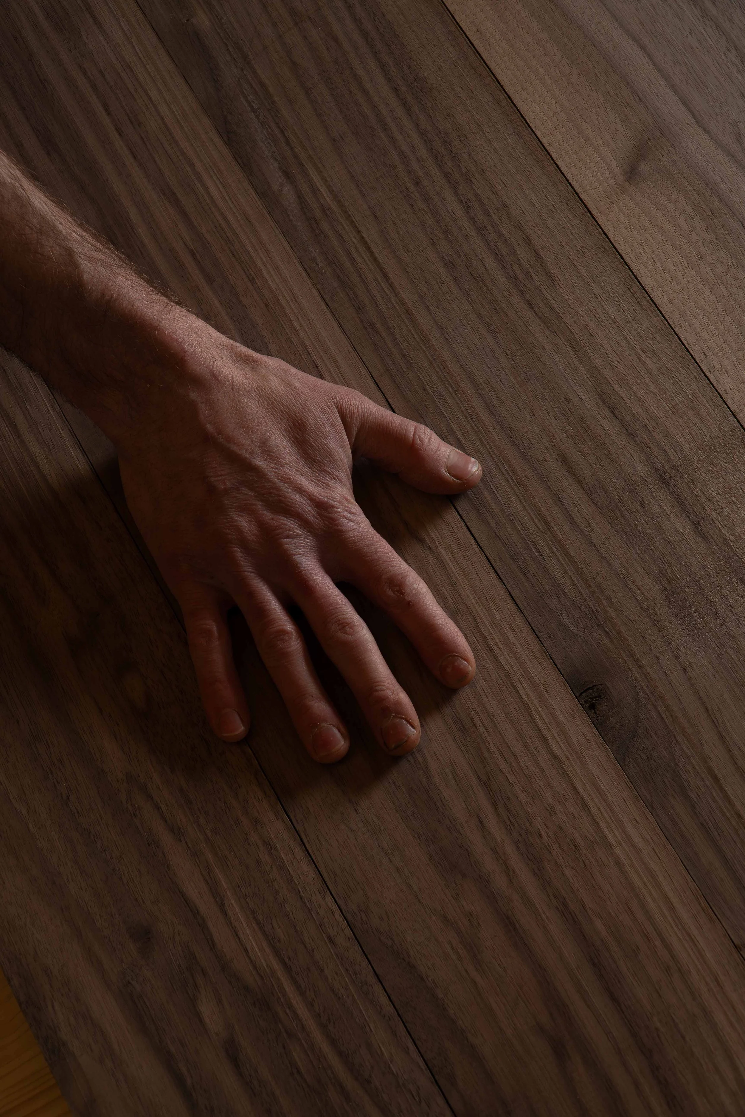 21022025-DSC03576-Avec accentuation-Bruit.jpg