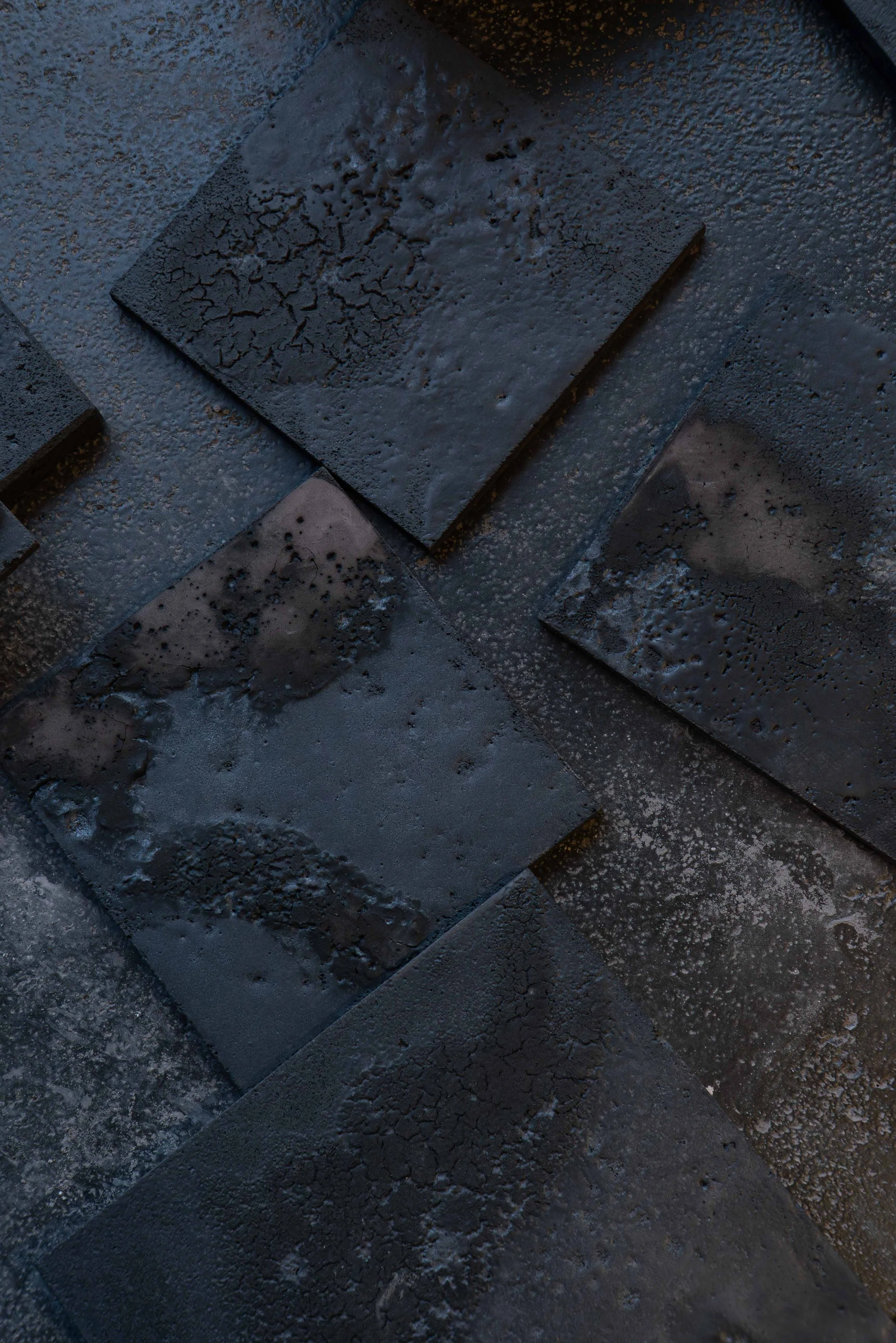 03022025-DSC02266-Avec accentuation-Bruit.jpg