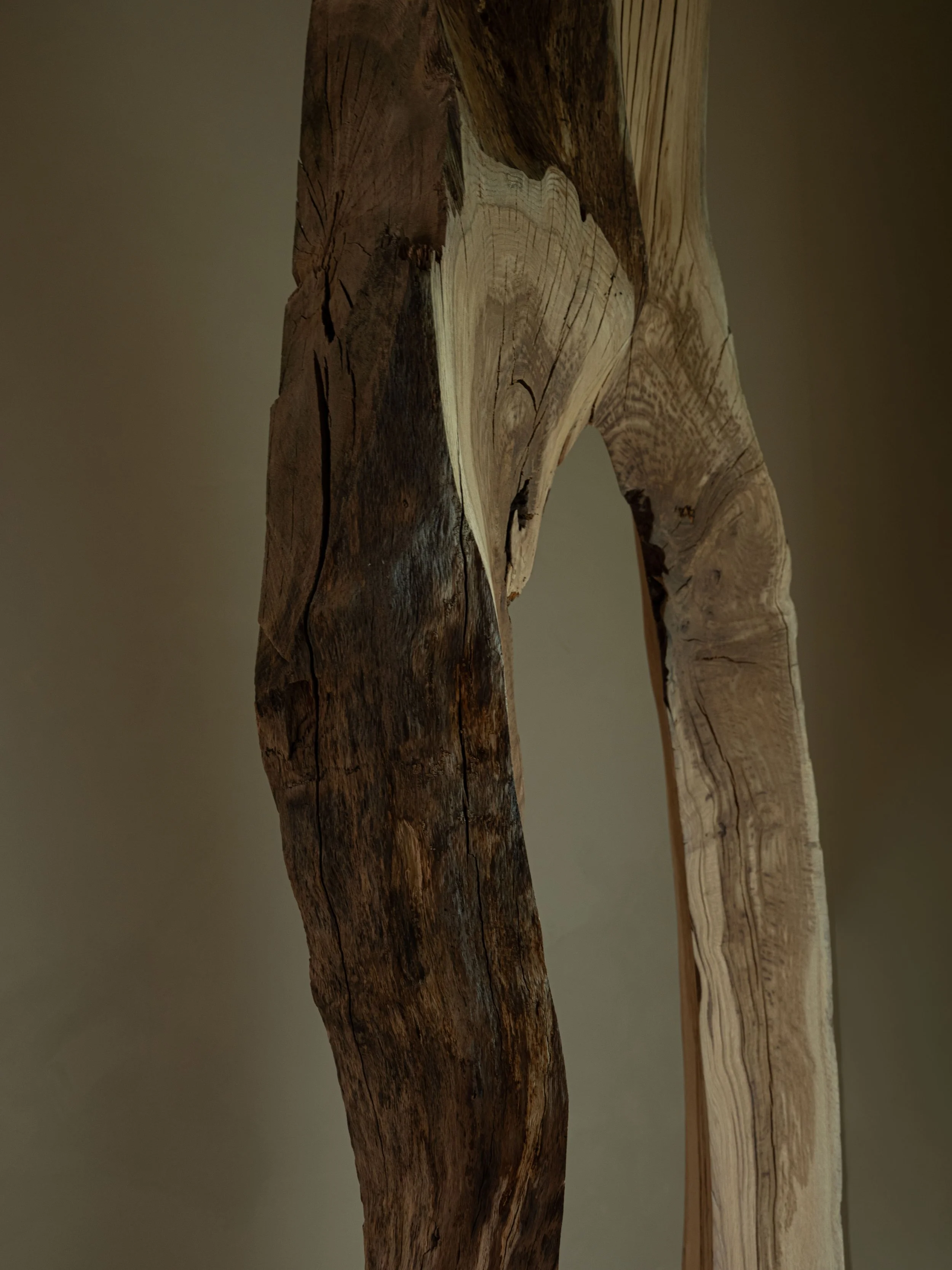 DSCF7698.jpg