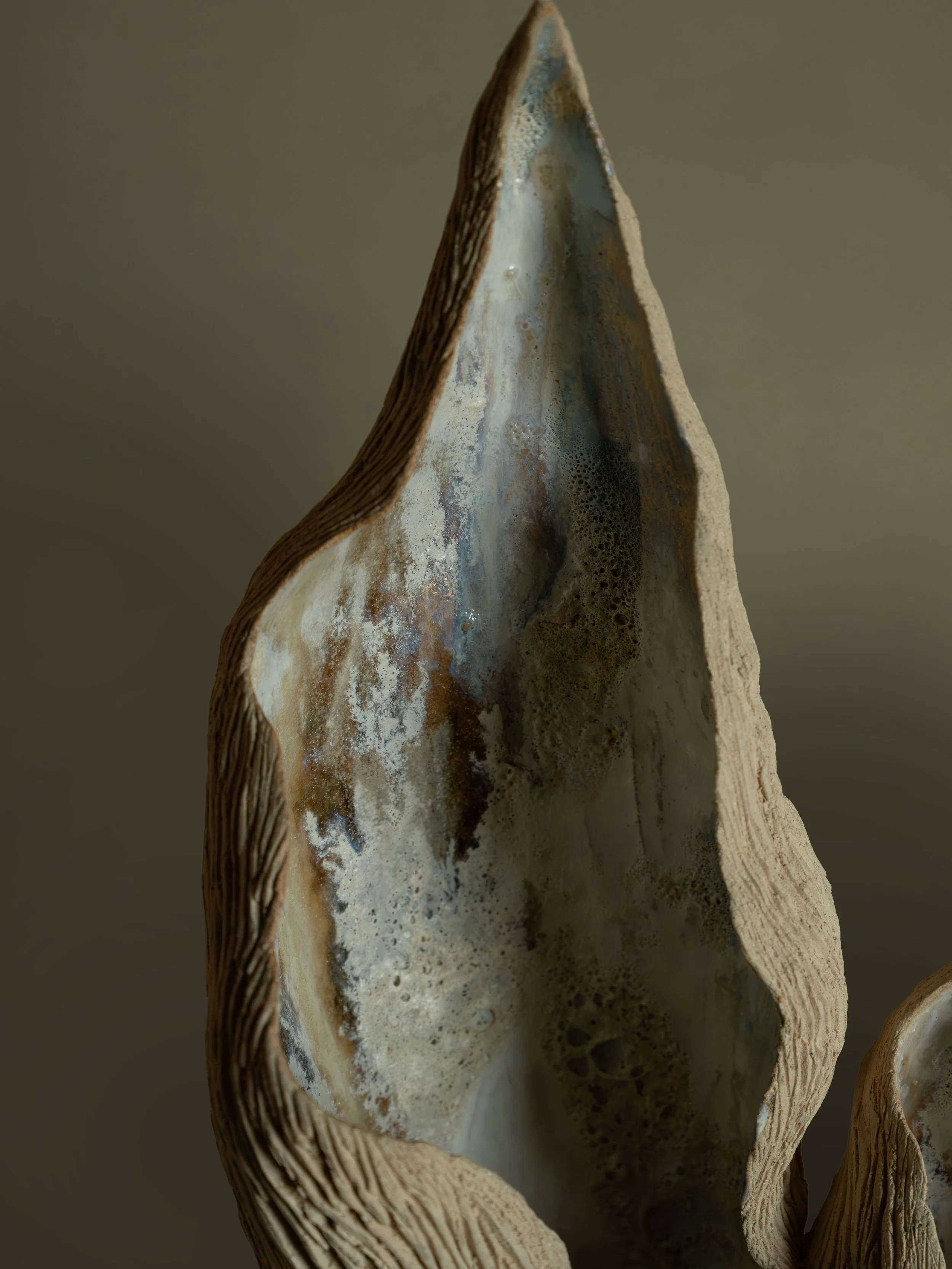 DSCF9894.jpg