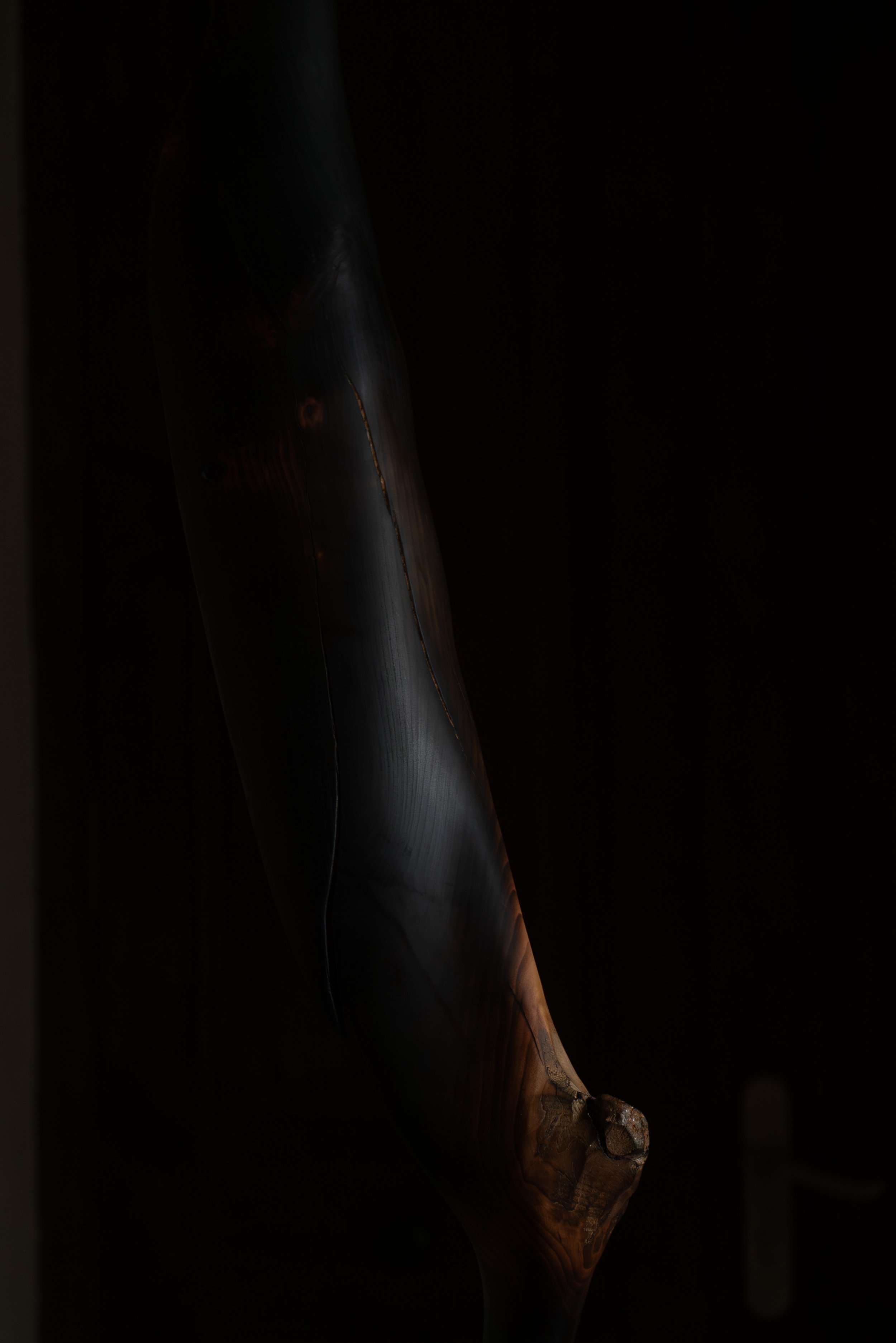 29112024-DSC09998-Avec_accentuation-Bruit.jpg