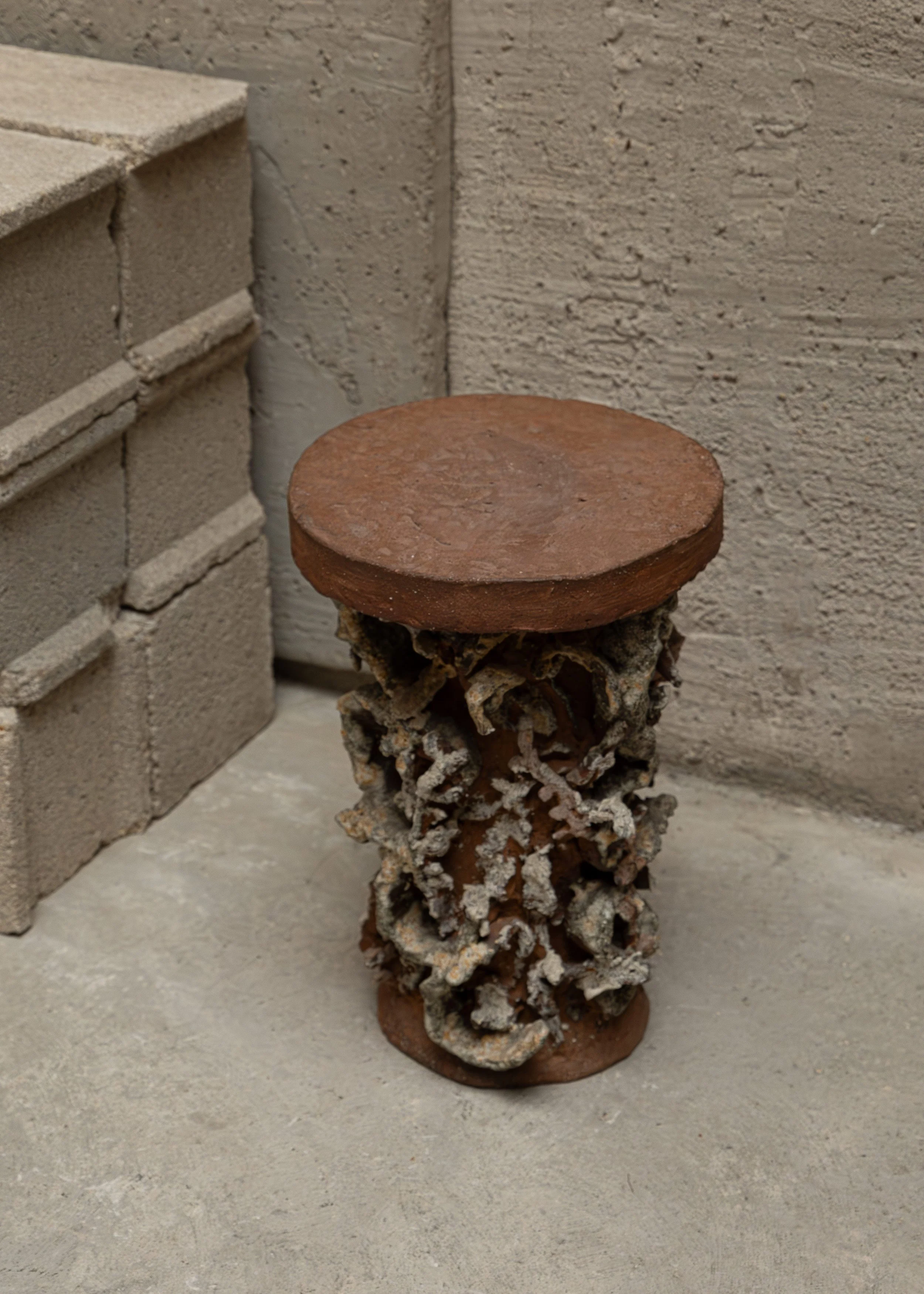 DSCF7265.jpg