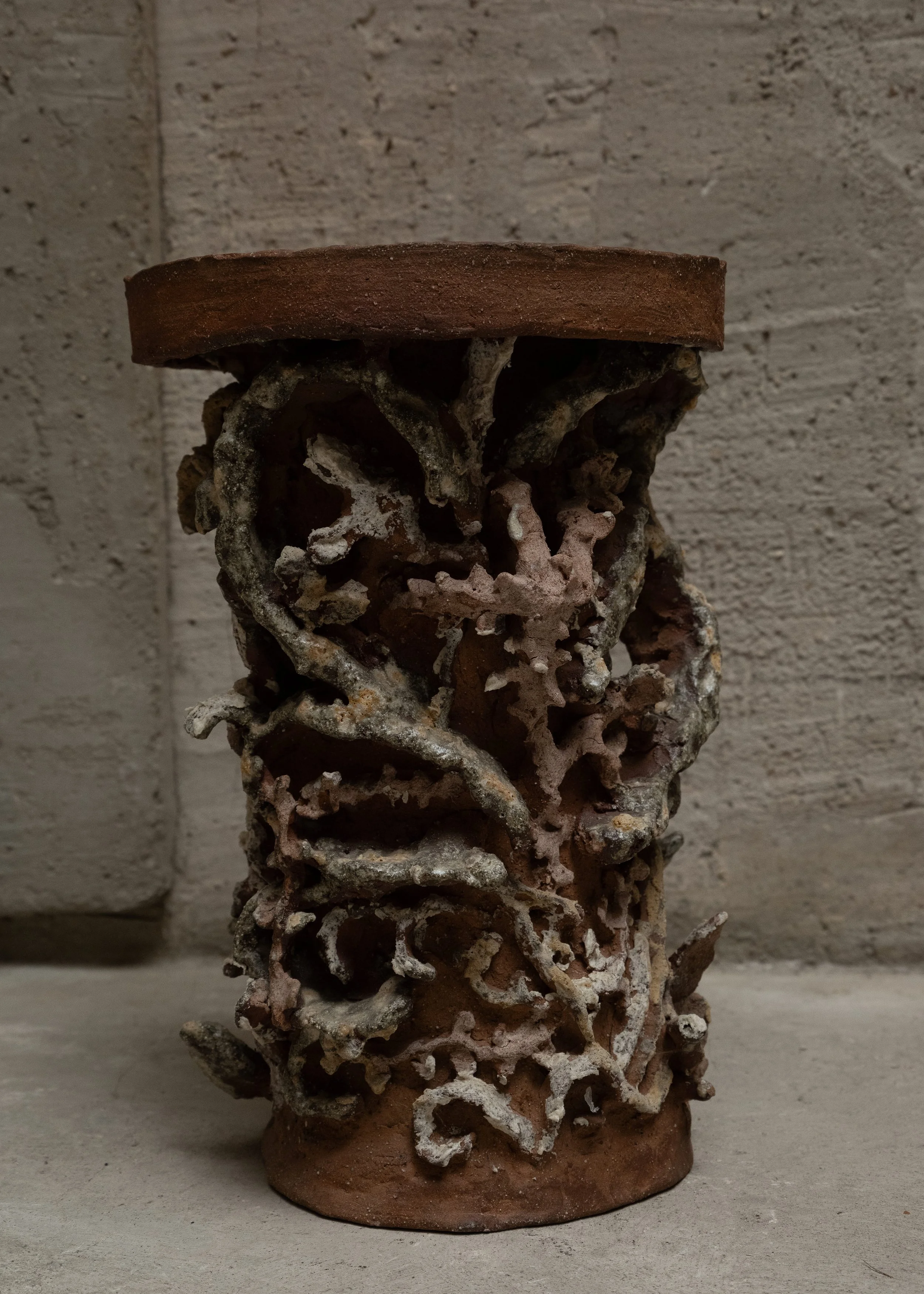 DSCF7260.jpg