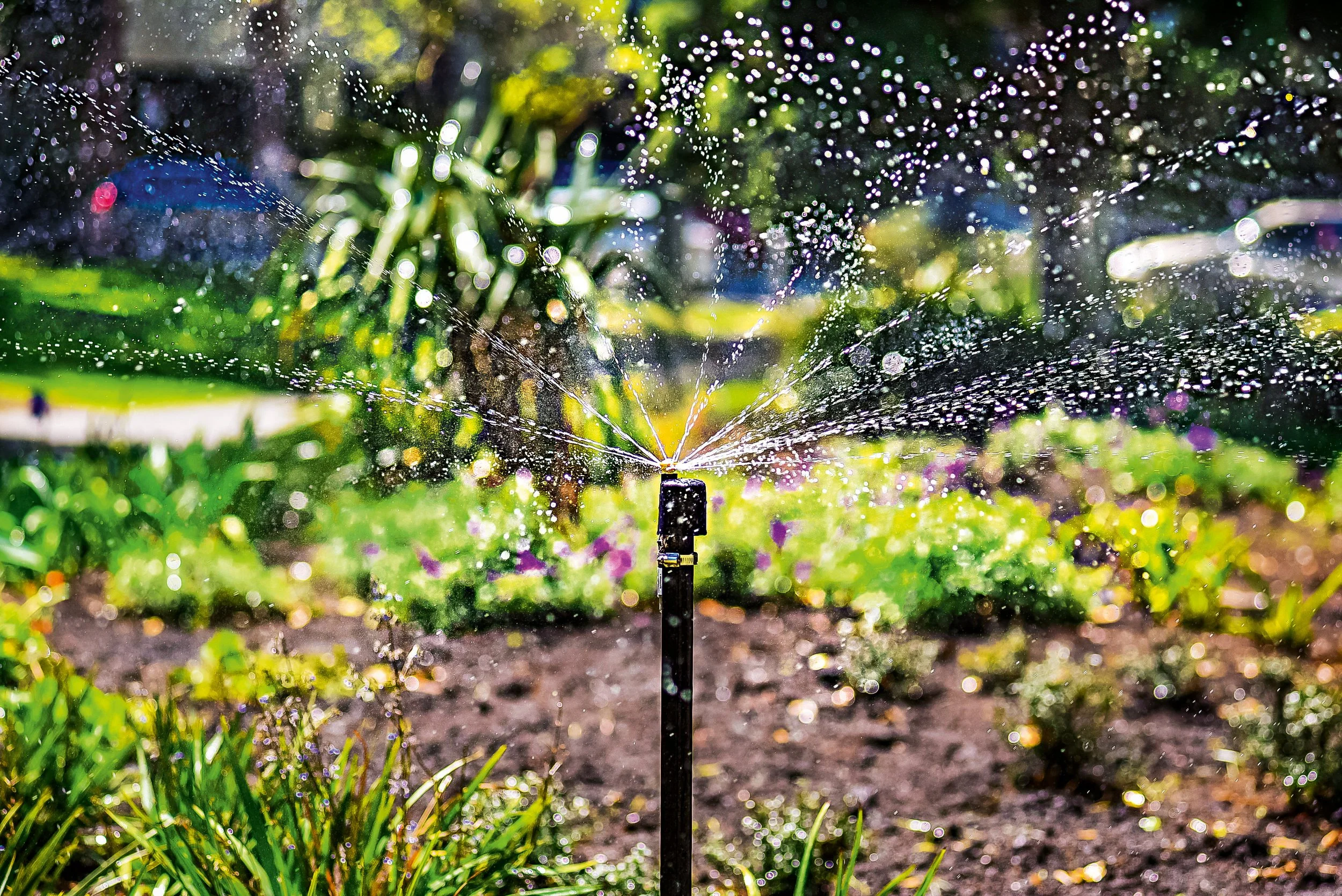 Bewässerungssystem sprüht Wasser auf Garten mit verschiedenen Pflanzen und Blumen bei Sonnenschein