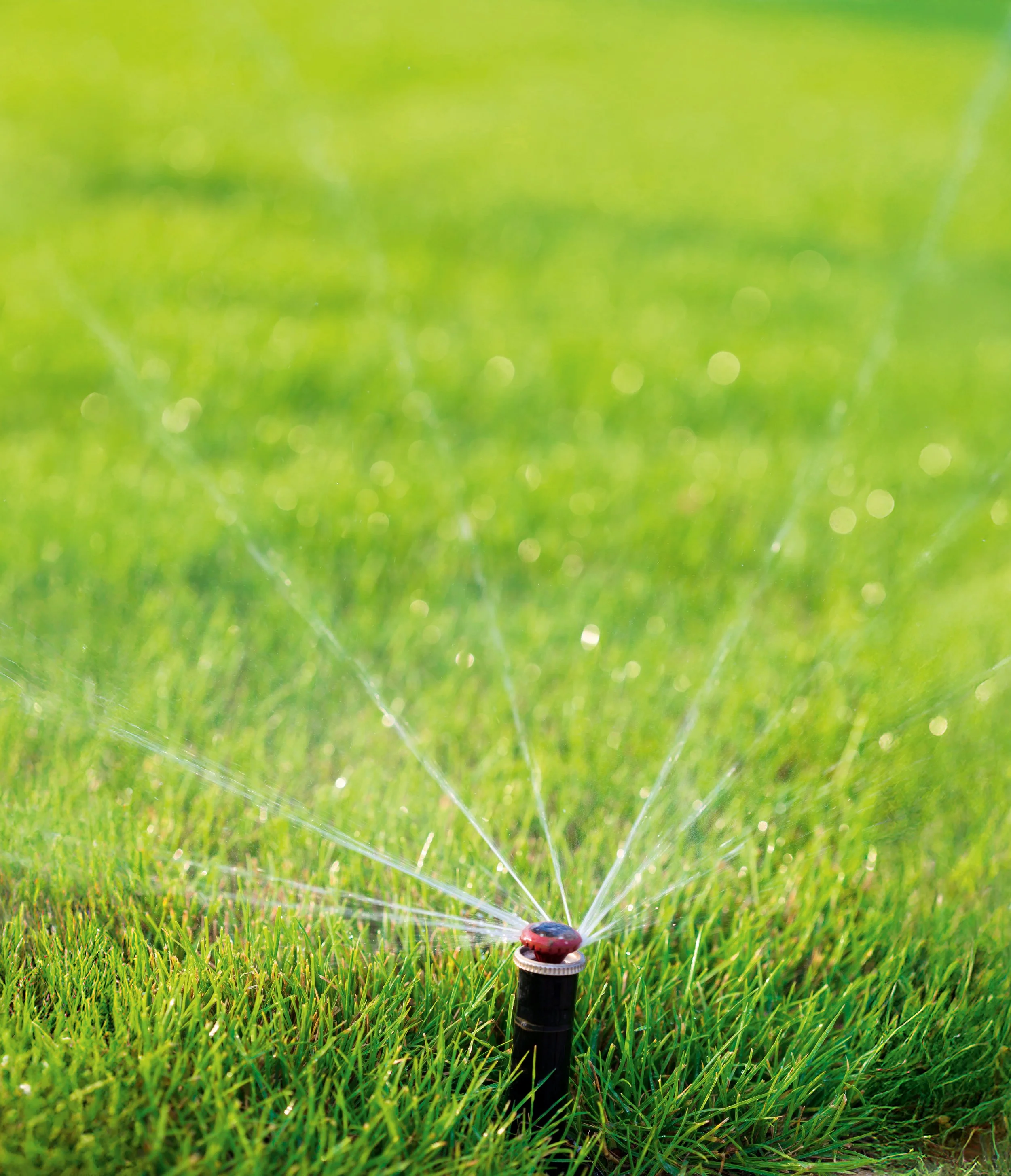 Bewässerungssystem auf grünem Rasen im Freien.