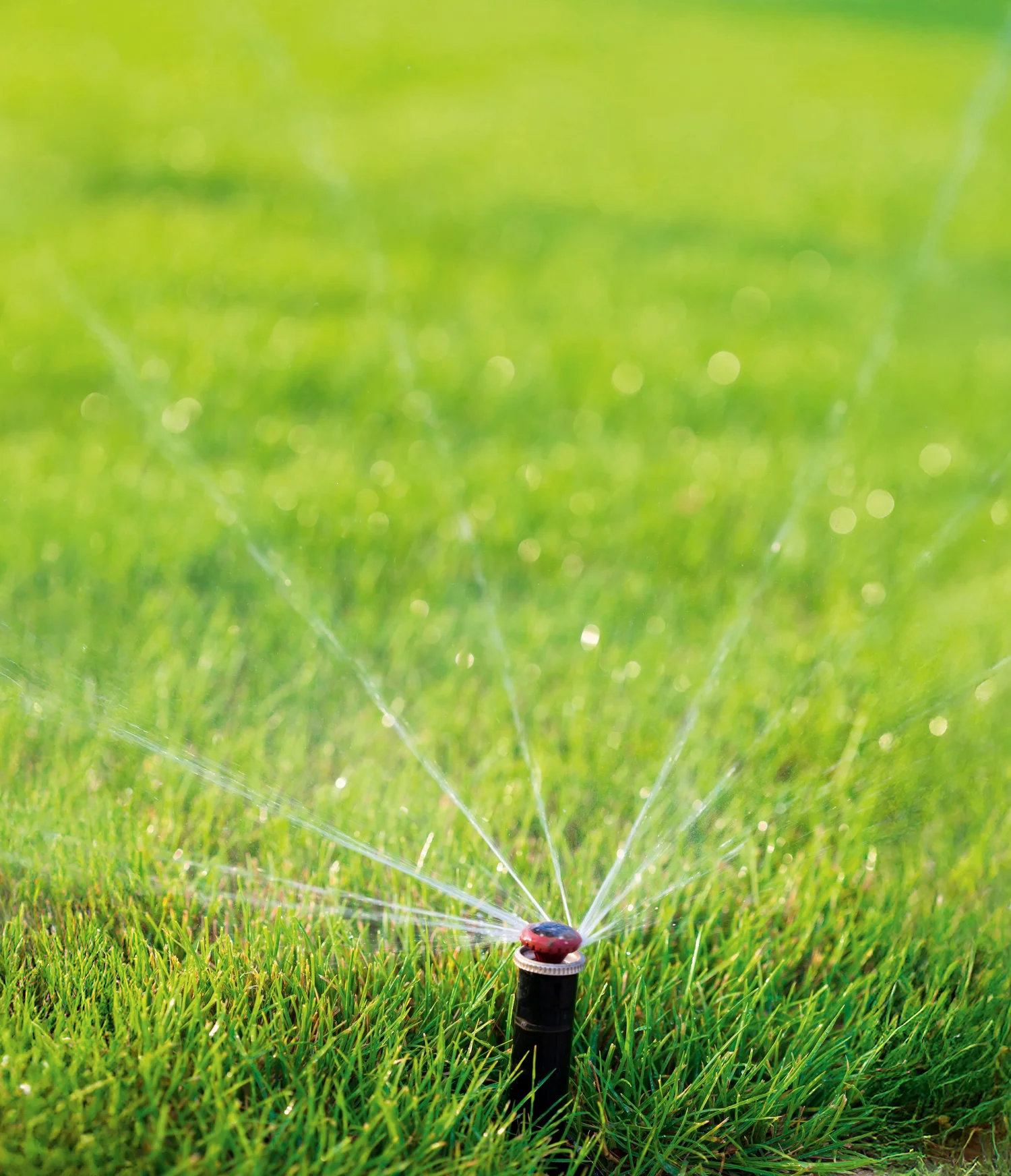 Automatischer Rasensprenger bewässert einen grünen Garten