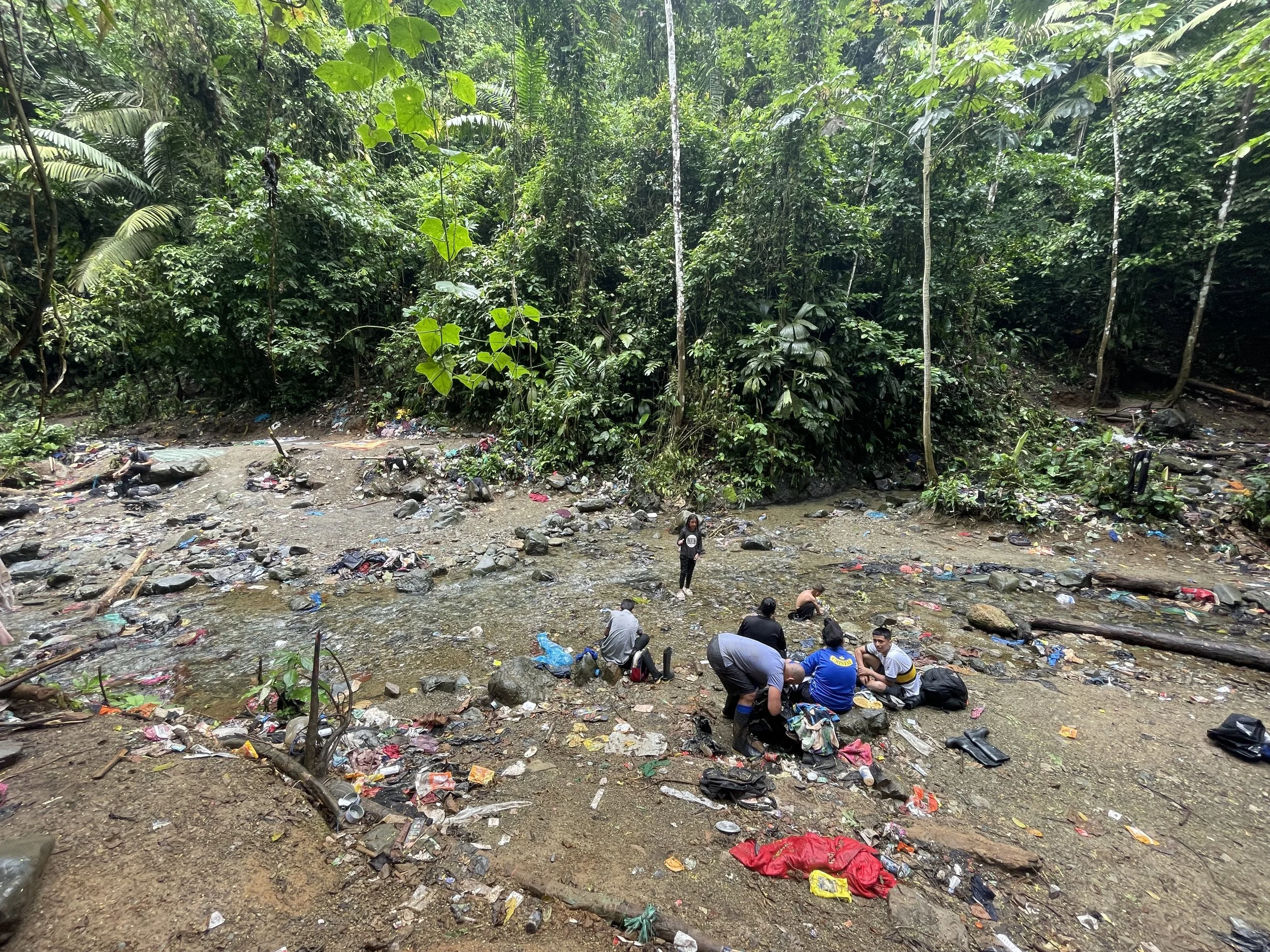 Group of people cleaning trash from a muddy riverbank in a lush, green forest.