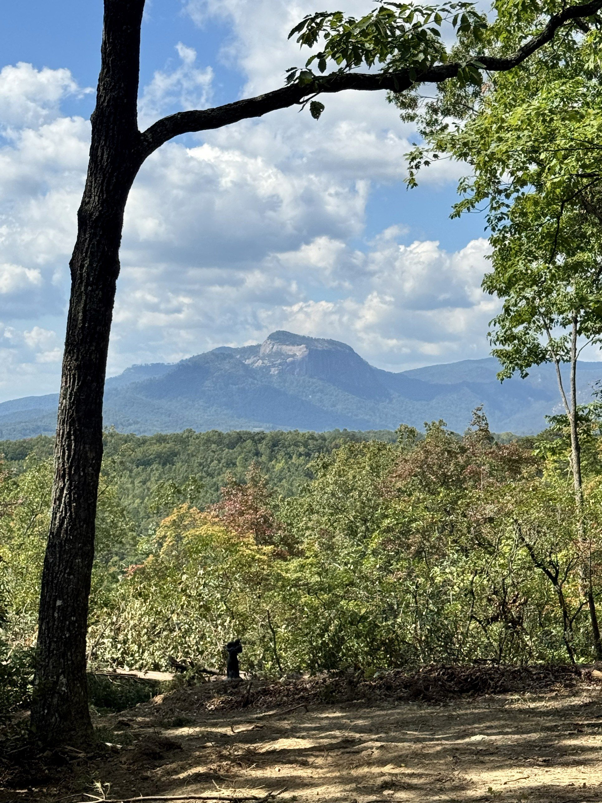 Table Rock Mountain framed by trees at the Wildcat ceremony site