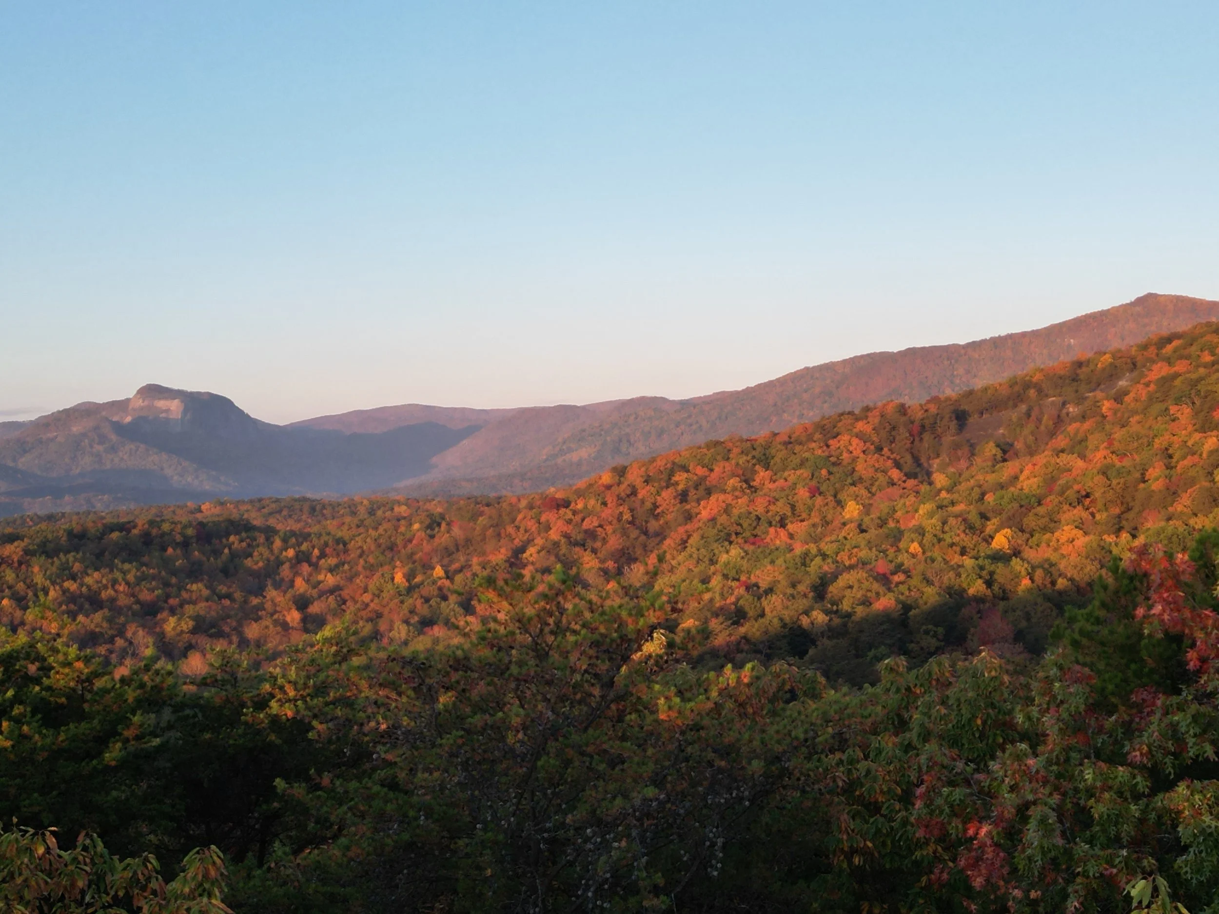 A scenic view of rolling hills covered in colorful autumn leaves, with mountains in the background and a clear sky above.