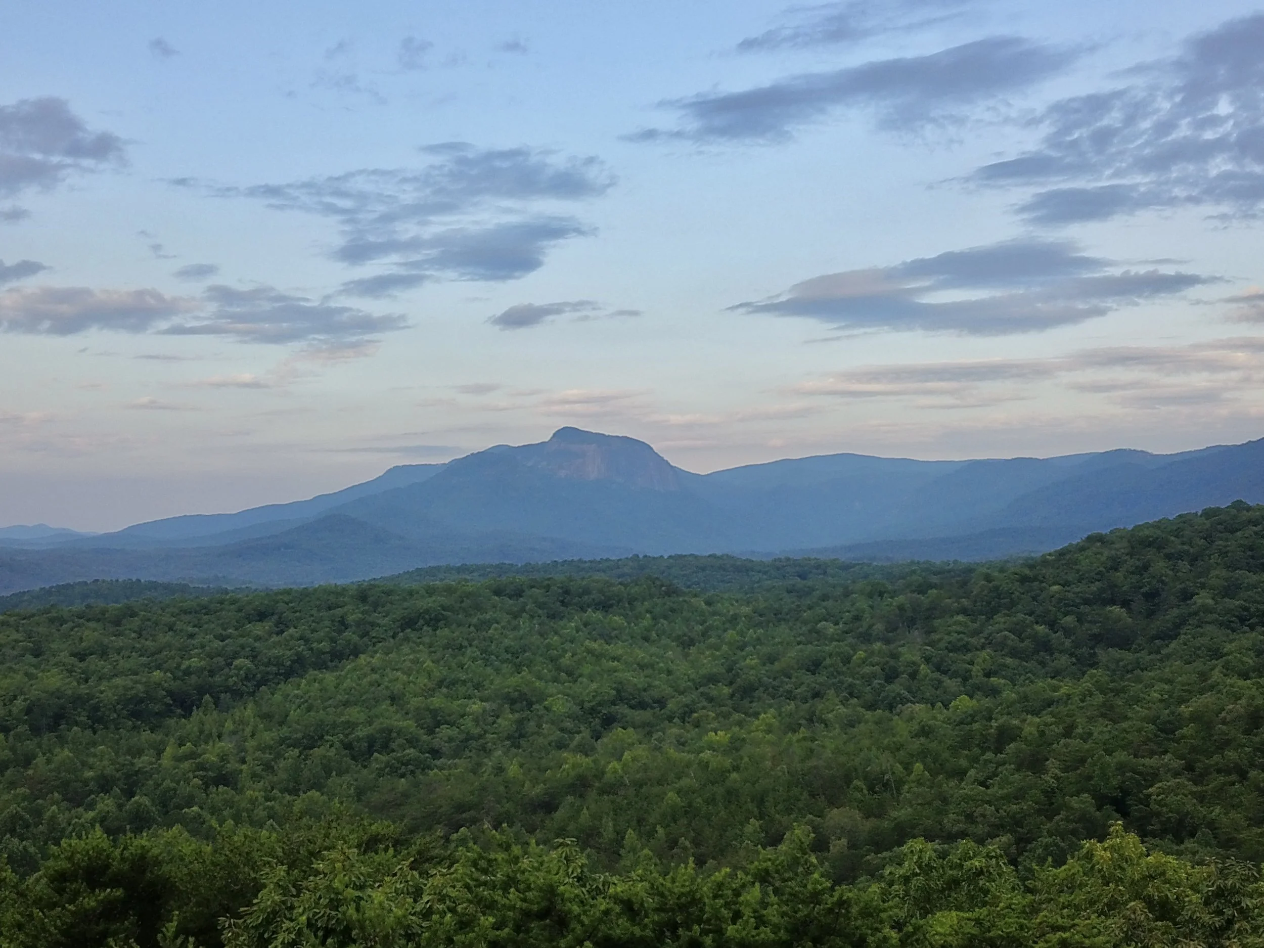 A landscape of lush green forest with a mountain in the distance under a partly cloudy sky.