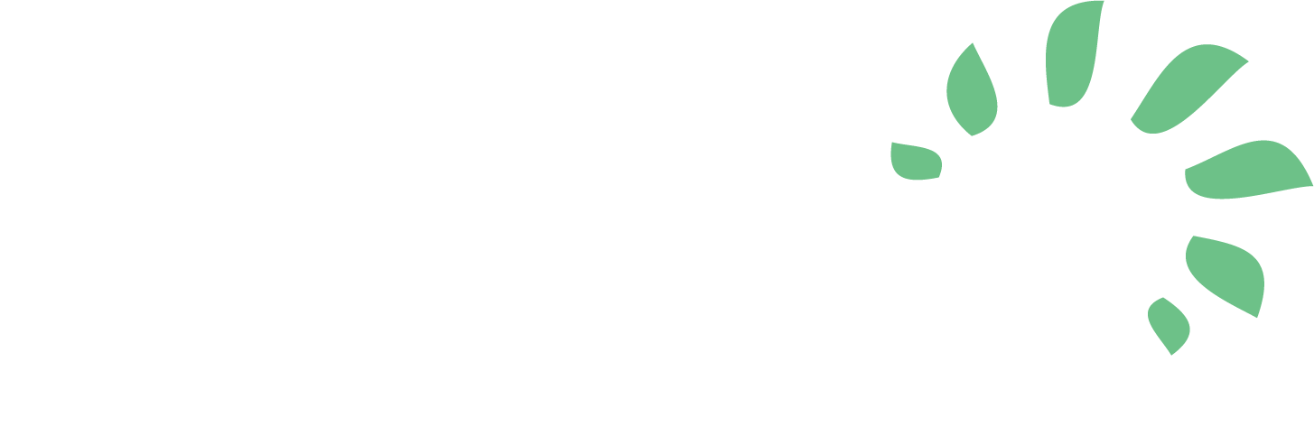 Fremsyn