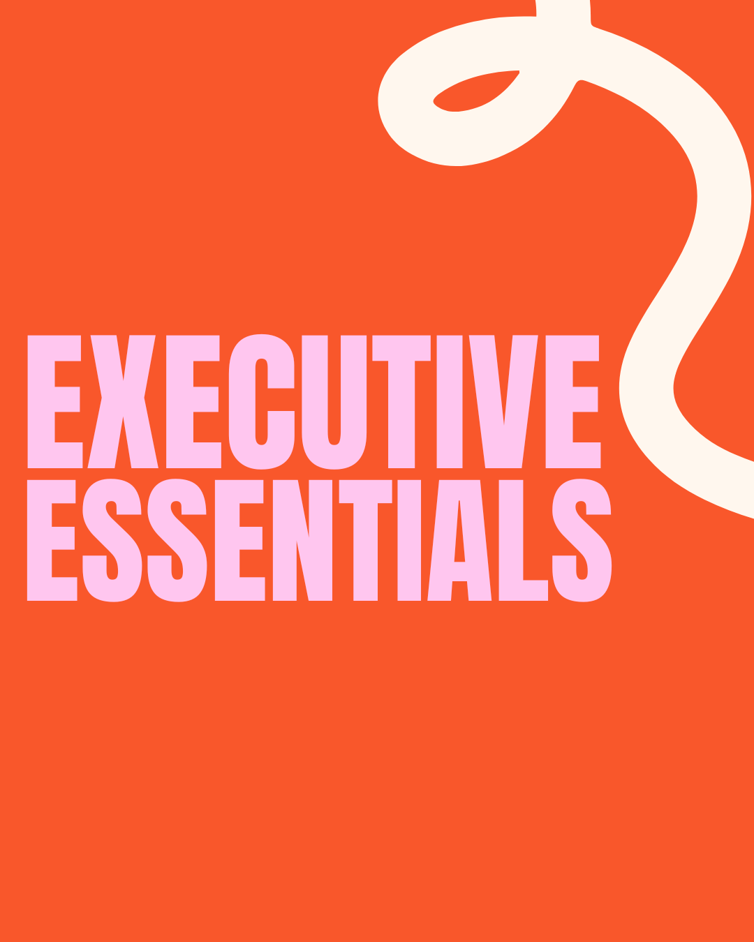 Executive Essentials - €3.200