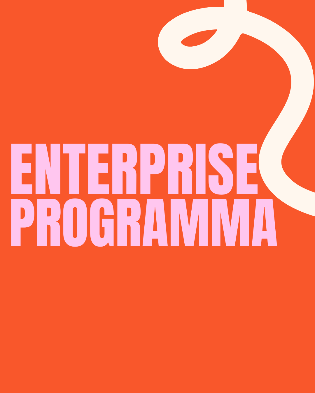 ENTERPRISE PROGRAMMA: Boekomslag Enterprise Programma - The Motherhood Business