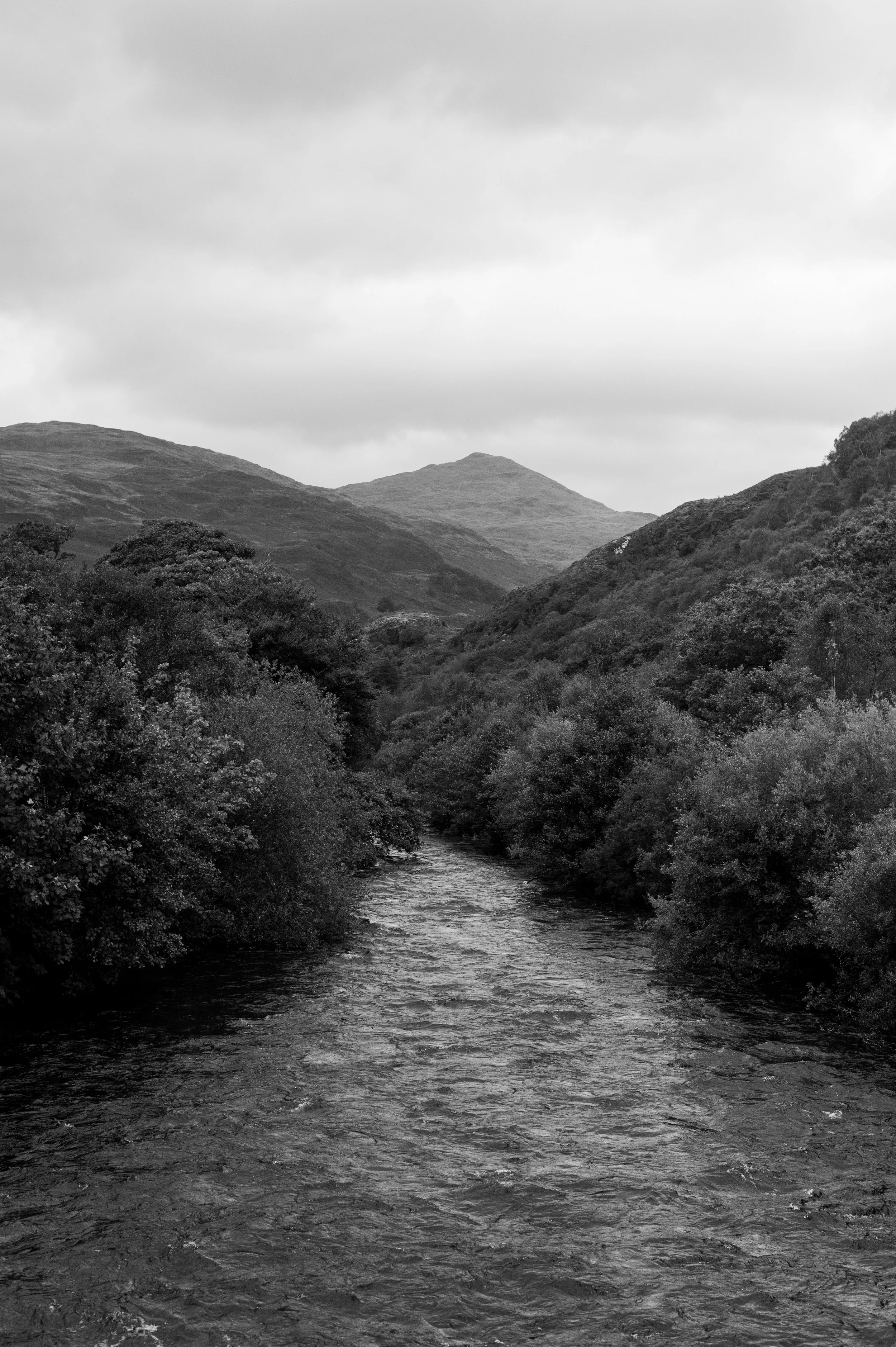 _DSC4685.jpg