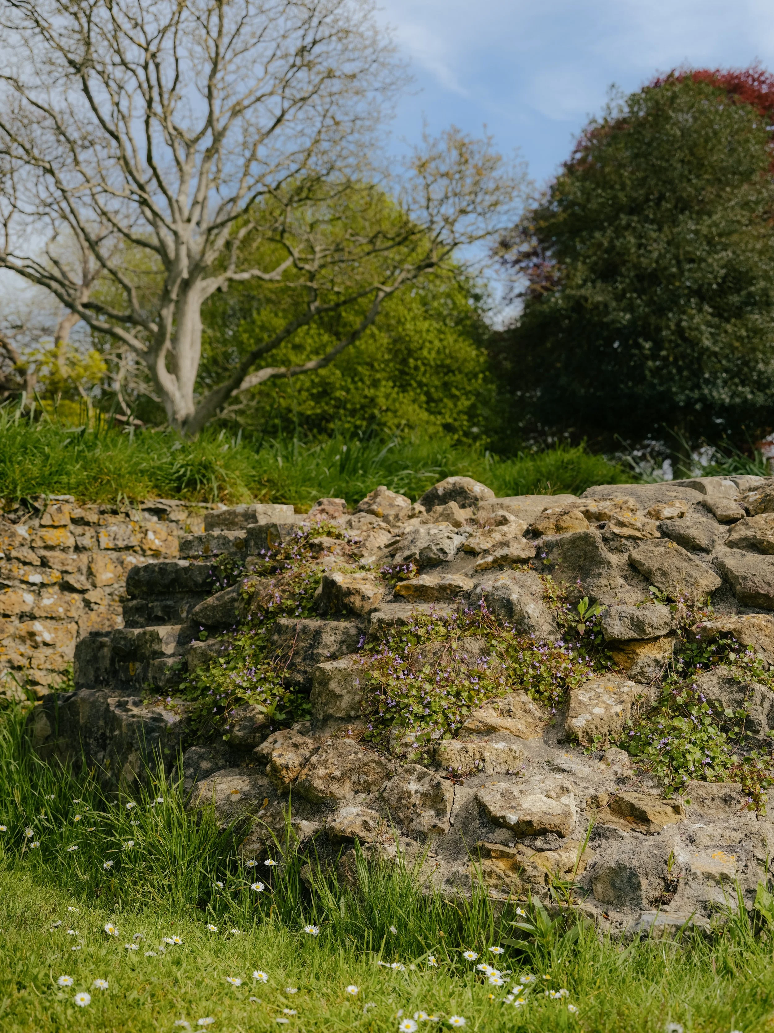 DSCF9389.jpg